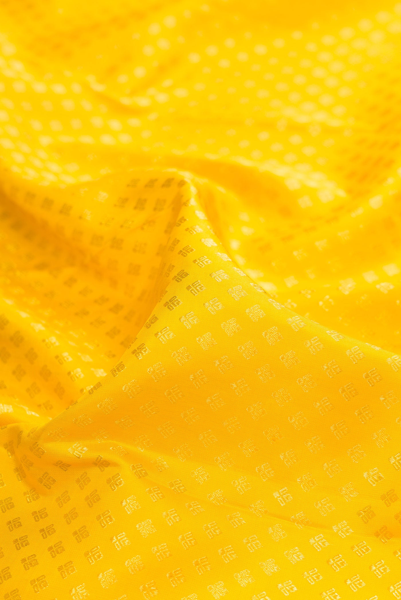 Close up of Pure Silk Yellow Kanjivaram Saree with Zari Brocade on the body and Zari Border.  displaying folds