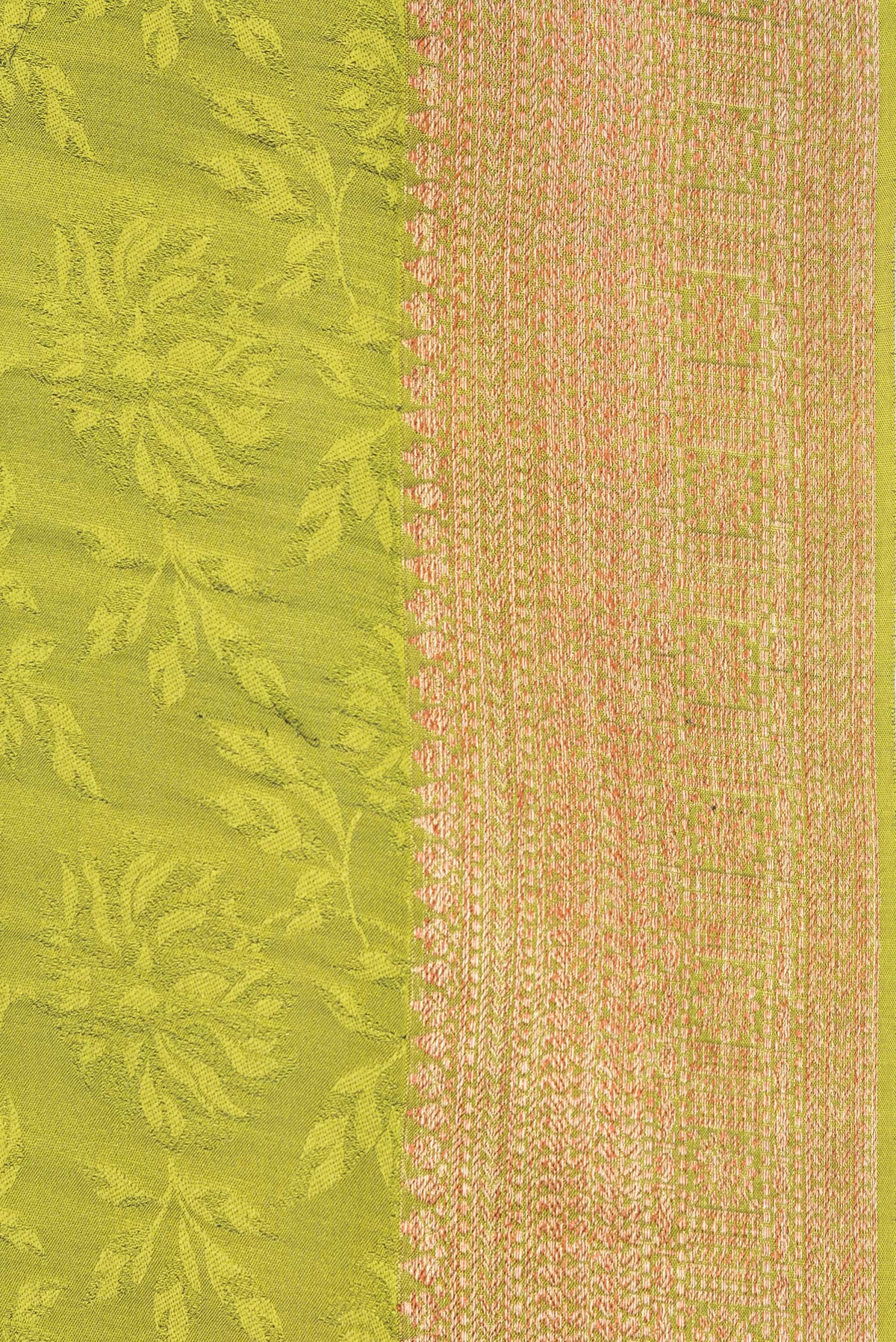 Border image of Green Dual Tone Banarasi Georgette Saree with Jacquard design on the body and Zari Border. 