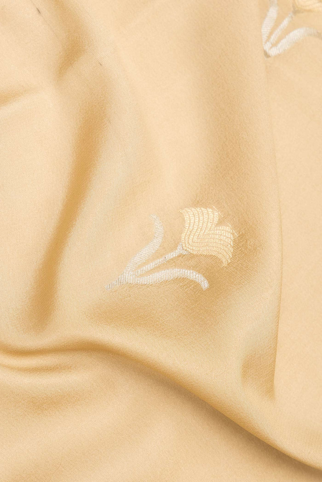 Close up of Dark Beige Dual Tone Banarasi Georgette Saree with Zari Butta on the body and Zari Border.  displaying folds