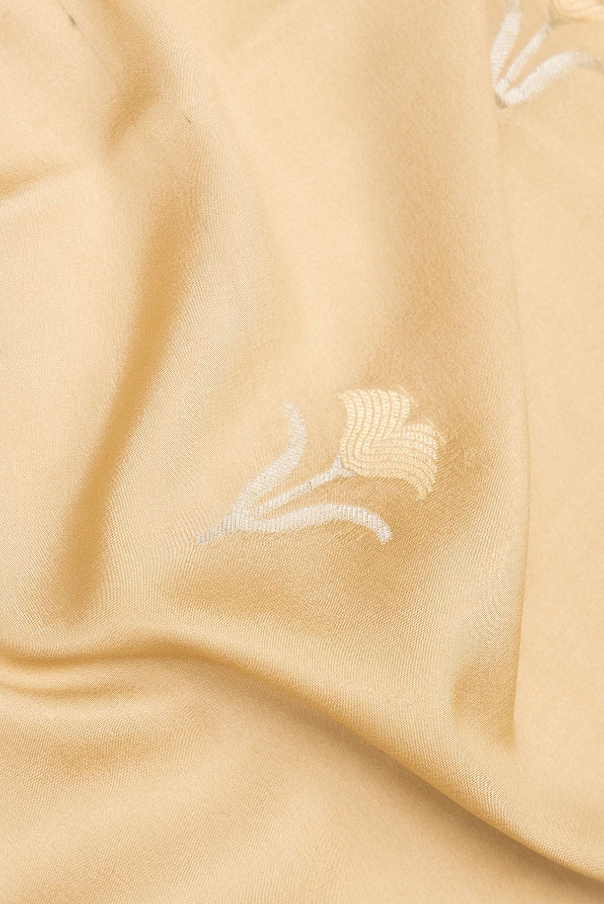 Close up of Dark Beige Dual Tone Banarasi Georgette Saree with Zari Butta on the body and Zari Border.  displaying folds
