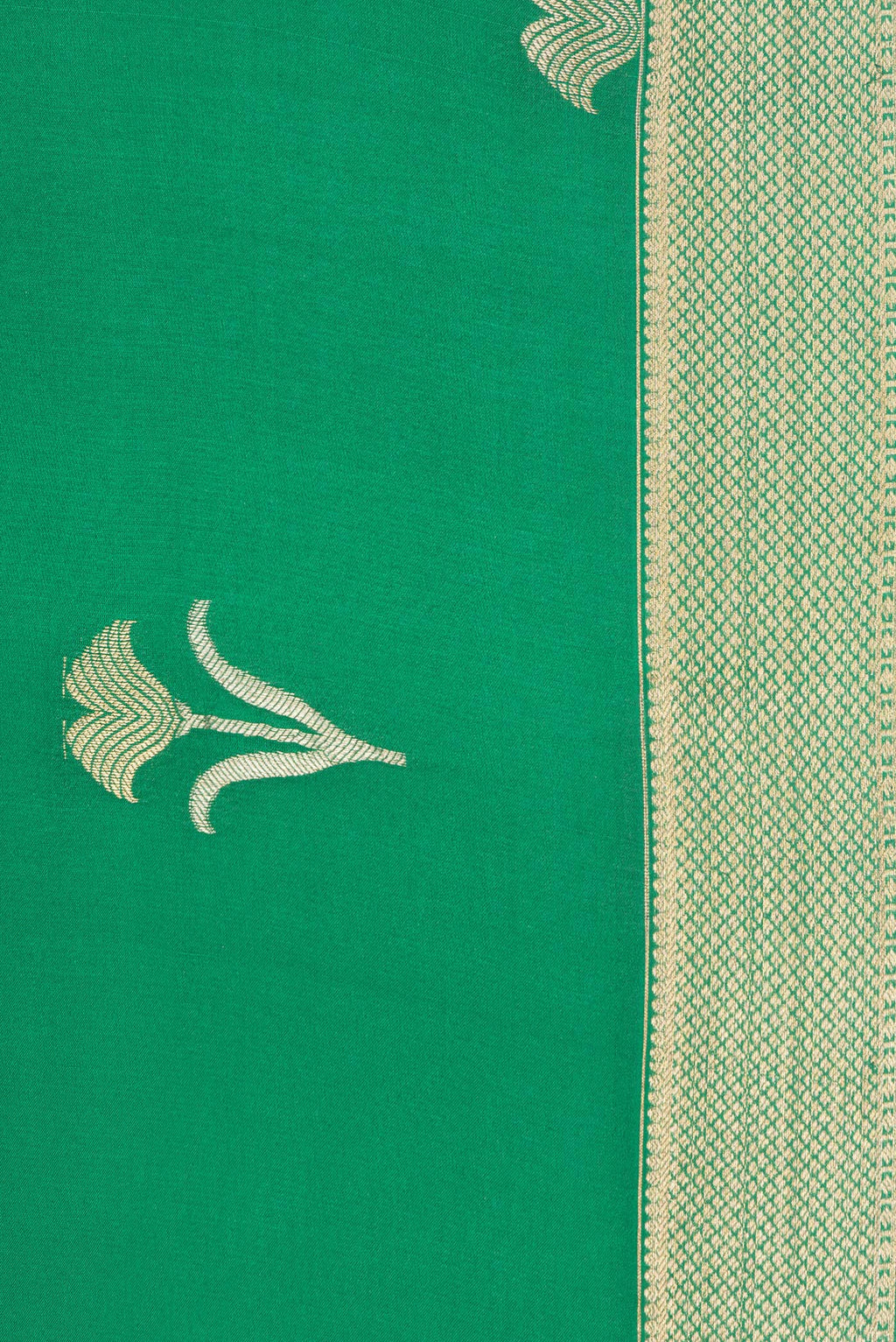 Border image of Green Dual Tone Banarasi Georgette Saree with Zari Butta on the body and Zari Border. 