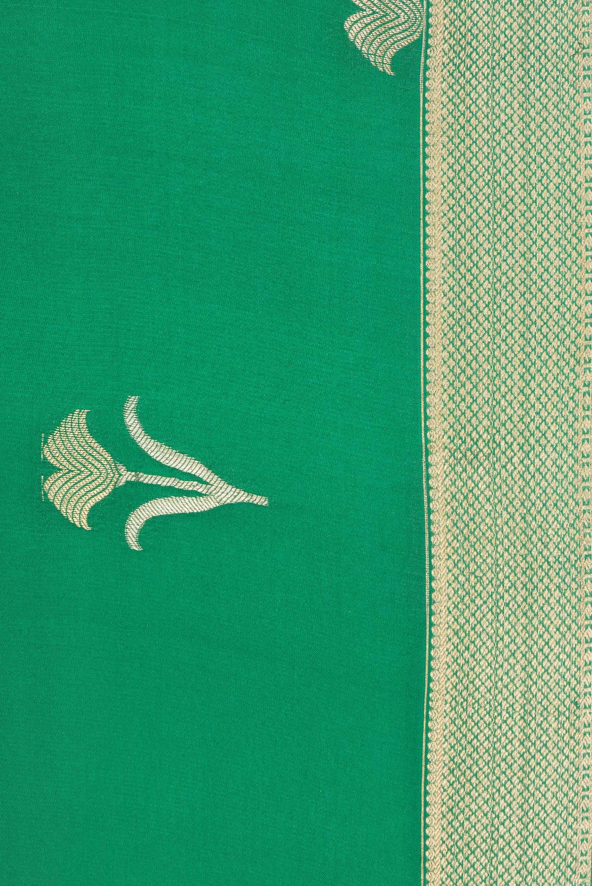 Border image of Green Dual Tone Banarasi Georgette Saree with Zari Butta on the body and Zari Border. 