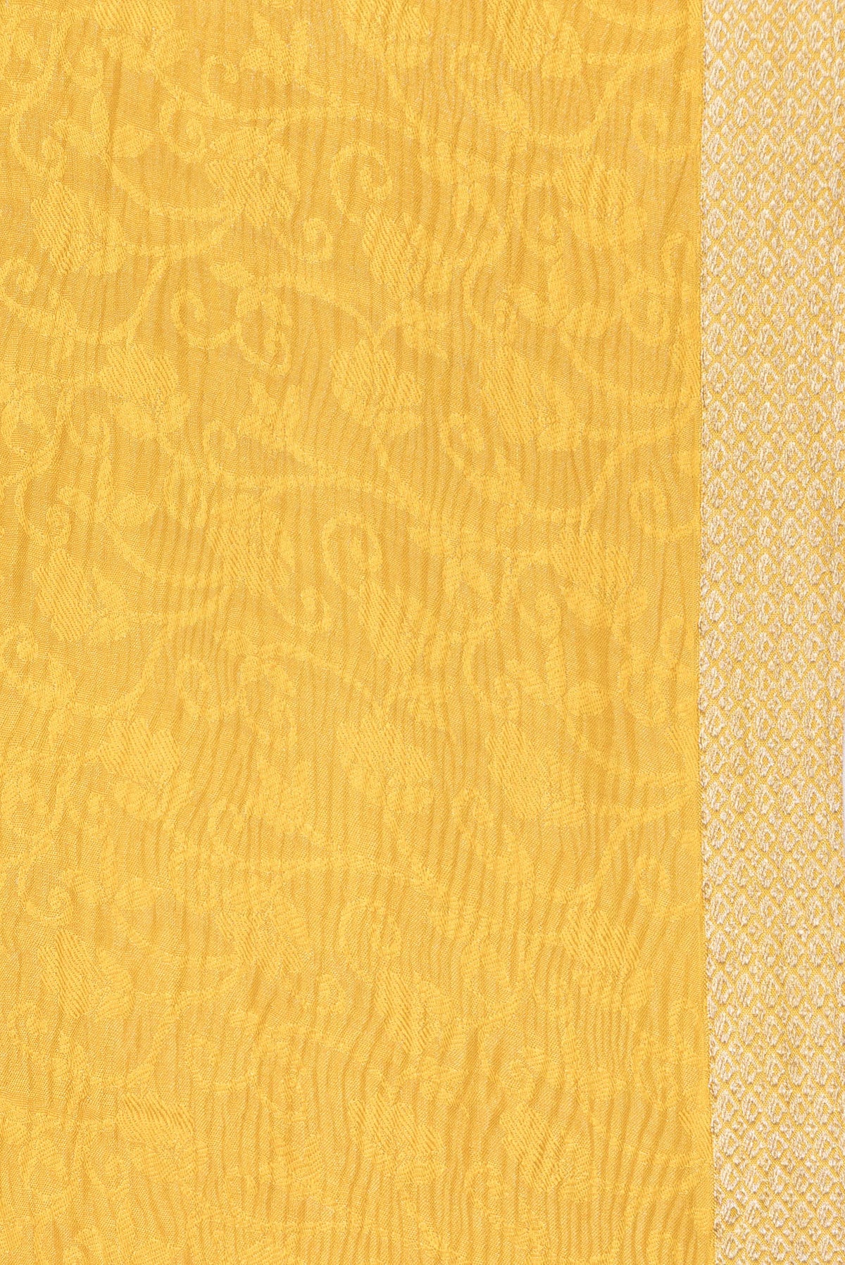 Border image of Mustard Dual Tone Banarasi Georgette Saree with Zari Brocade on the body and Zari Border. 