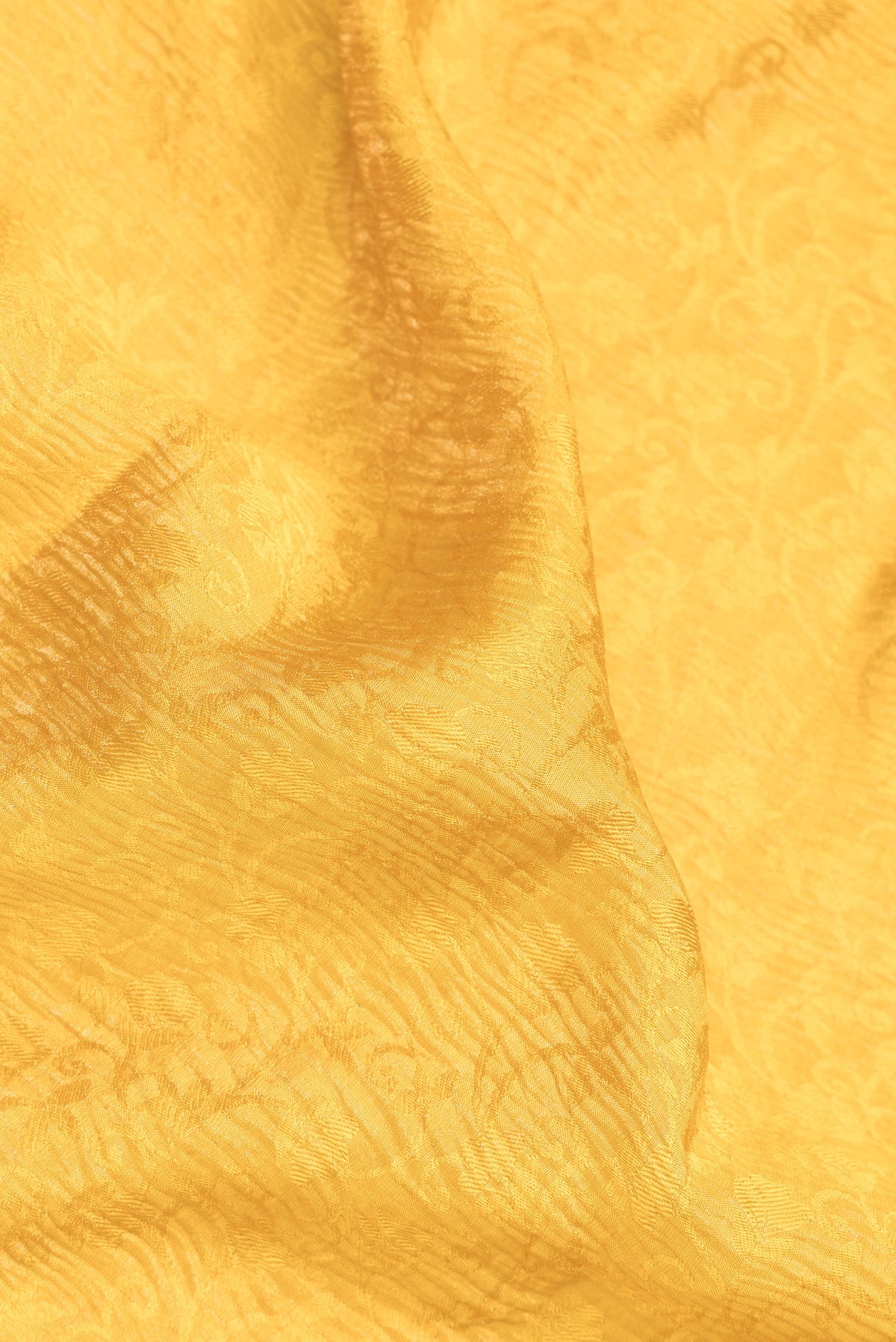 Close up of Mustard Dual Tone Banarasi Georgette Saree with Zari Brocade on the body and Zari Border.  displaying folds