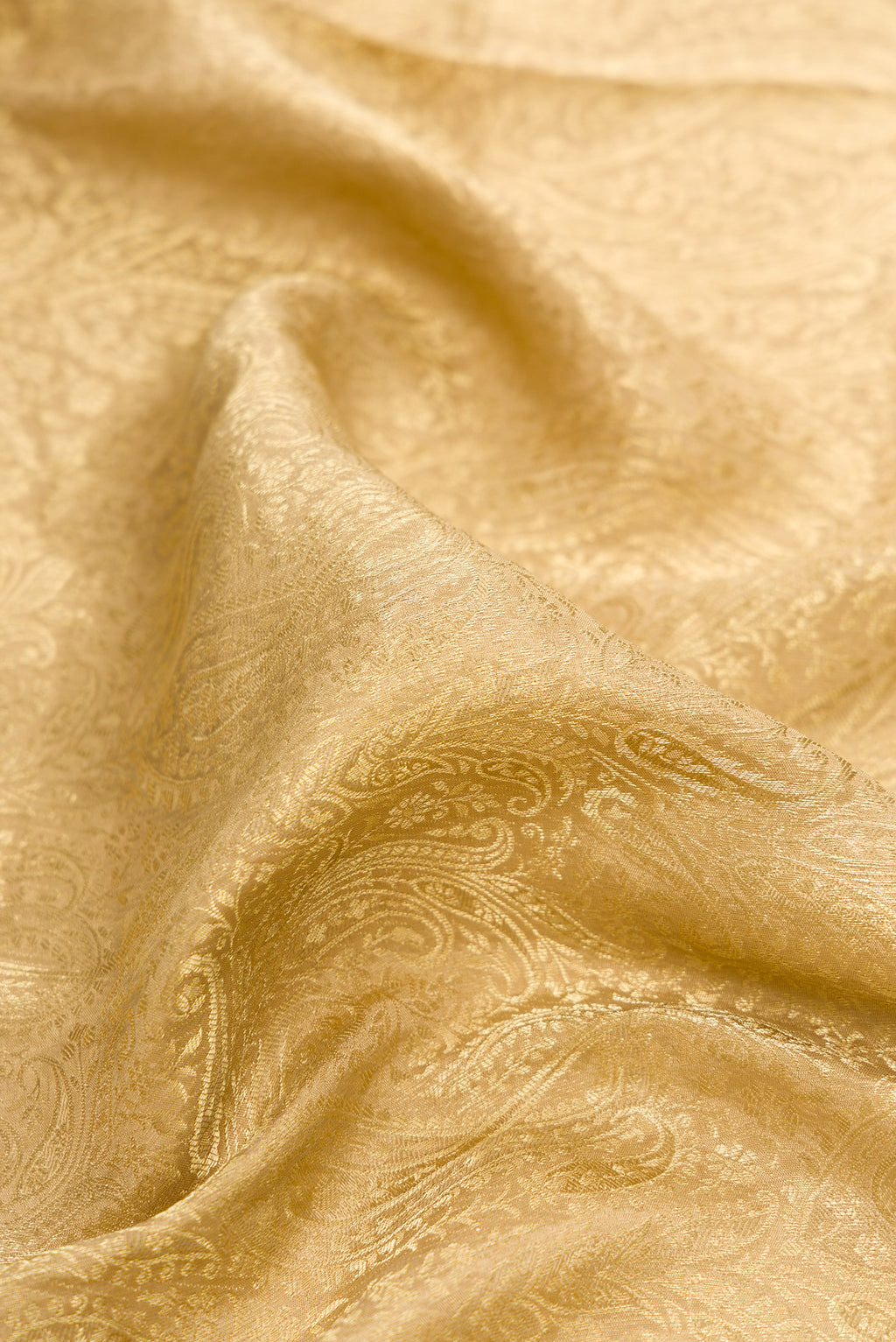 Close up of Beige Mysore Crepe Saree with Zari Brocade on the body and Zari Border.  displaying folds