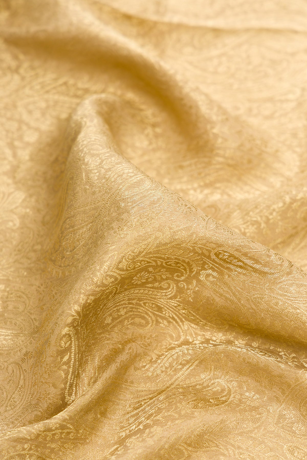 Close up of Beige Mysore Crepe Saree with Zari Brocade on the body and Zari Border.  displaying folds
