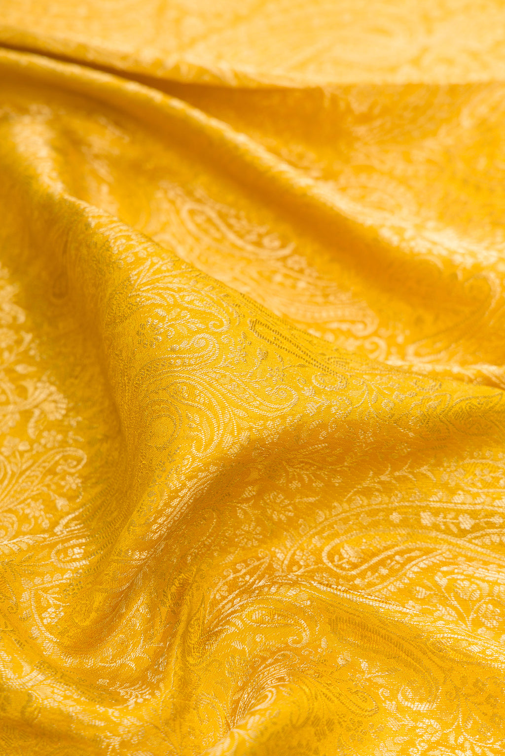 Close up of Mustard Mysore Crepe Saree with Zari Brocade on the body and Zari Border.  displaying folds