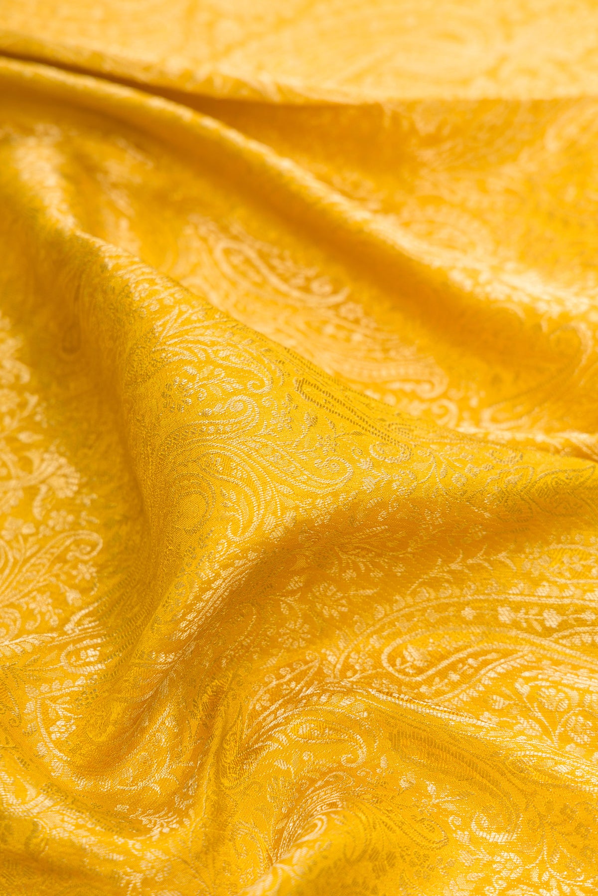 Close up of Mustard Mysore Crepe Saree with Zari Brocade on the body and Zari Border.  displaying folds