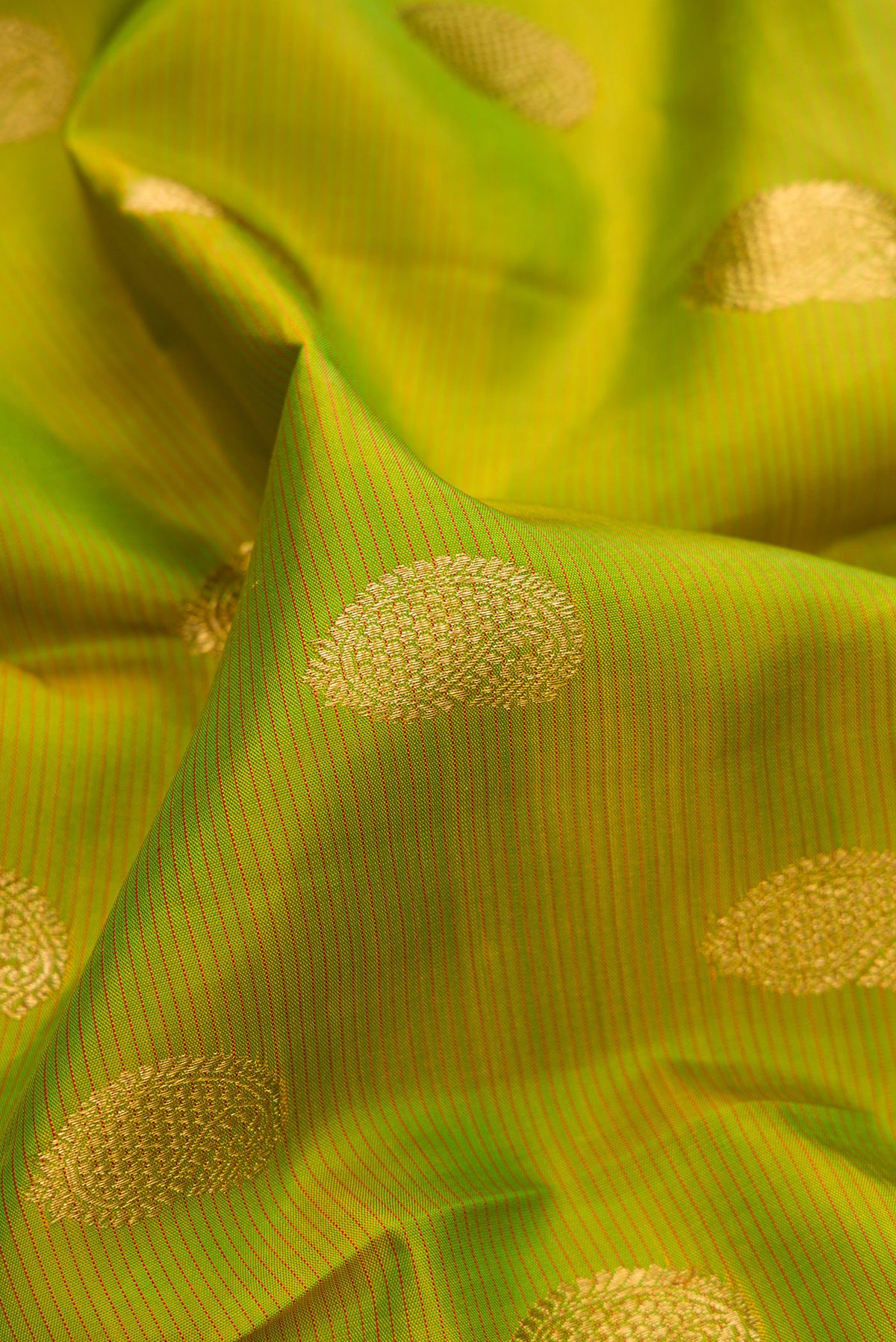 Close up of Pure Silk Pure Zari Parrot Green Dual Tone Kanjivaram Saree with Stripes on the body and Zari Border.  displaying folds