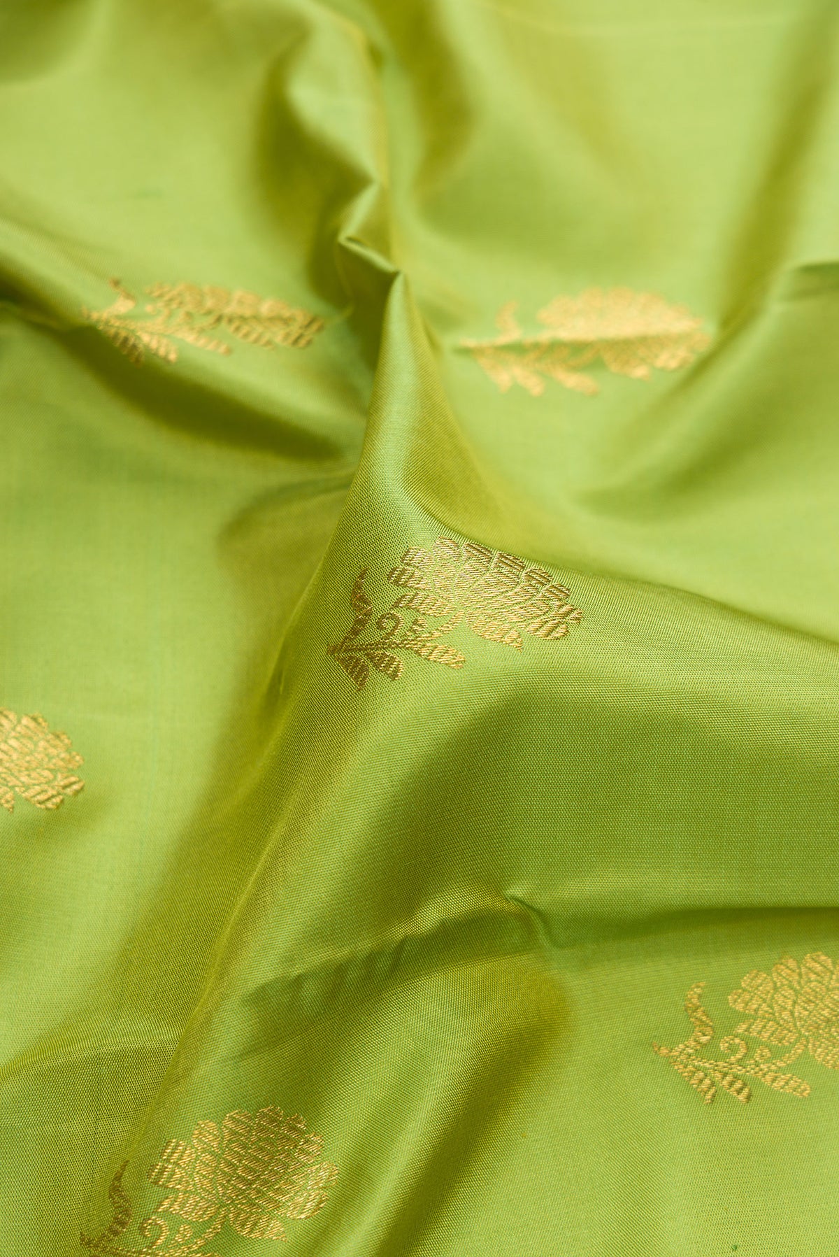 Close up of Pure Silk Pure Zari Parrot Green Kanjivaram Saree with Zari And Thread Butta on the body and Fancy Border.  displaying folds