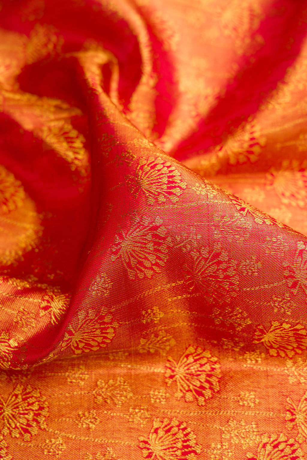 Close up of Pure Silk Red Kanchipuram Saree with Zari Brocade on the body and Fancy Border.  displaying folds