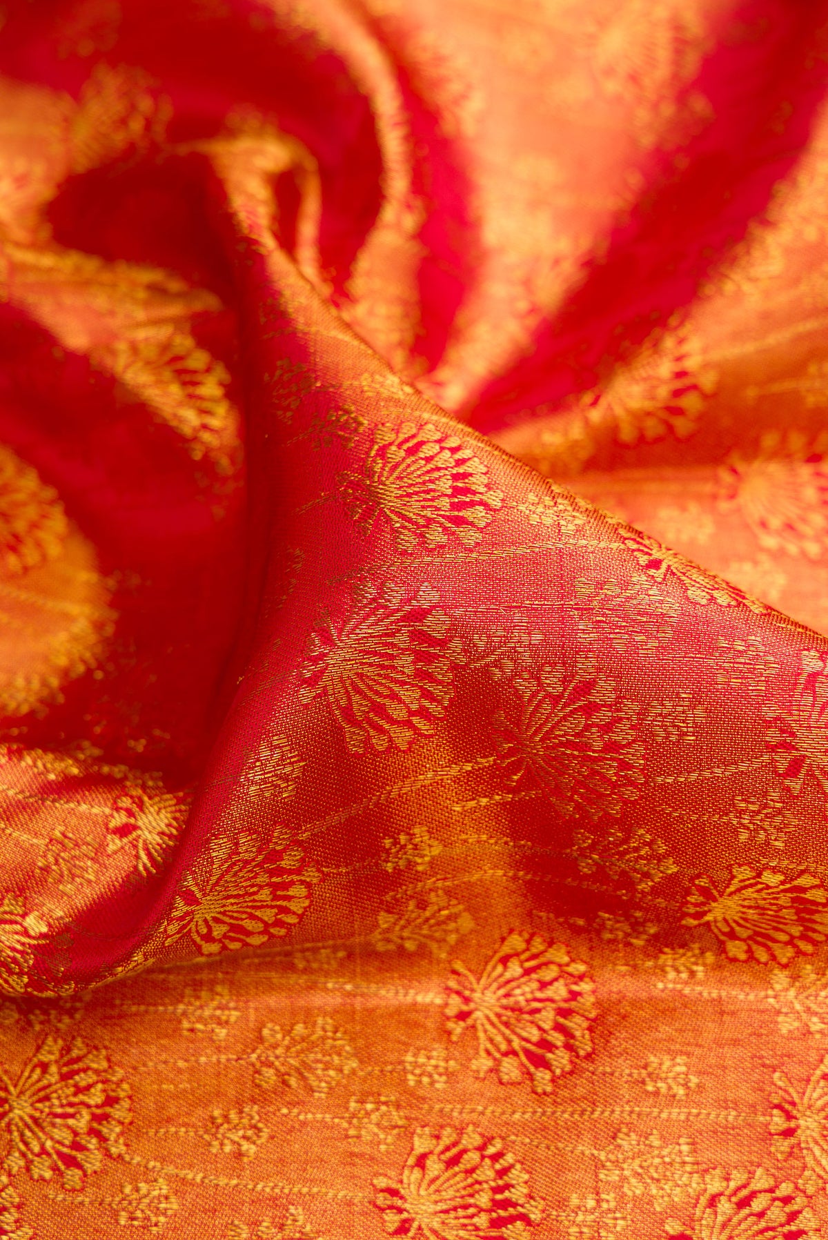 Close up of Pure Silk Red Kanchipuram Saree with Zari Brocade on the body and Fancy Border.  displaying folds