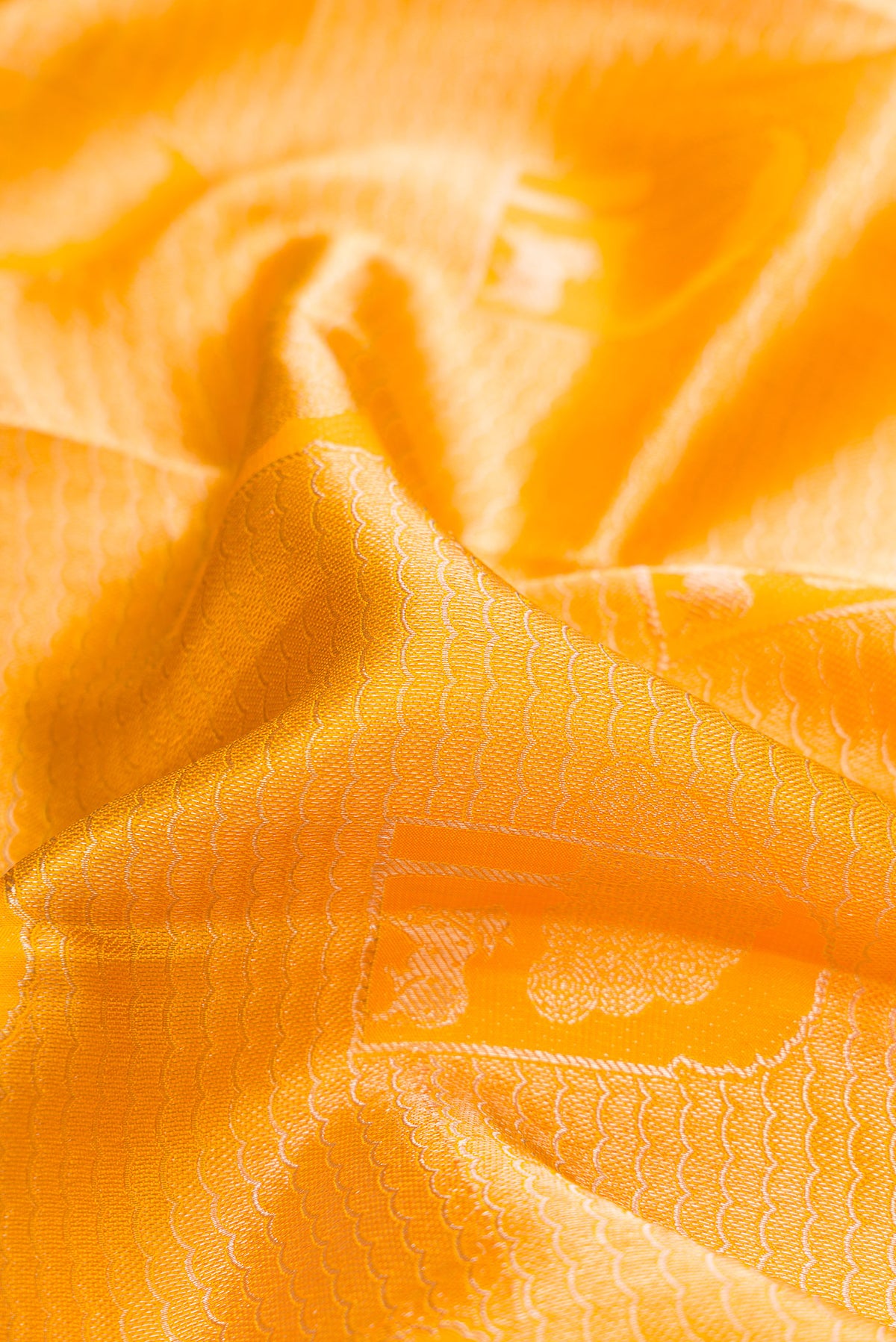 Close up of Yellow Kanchipuram Tissue Saree with Zari Brocade on the body and Fancy Border.  displaying folds