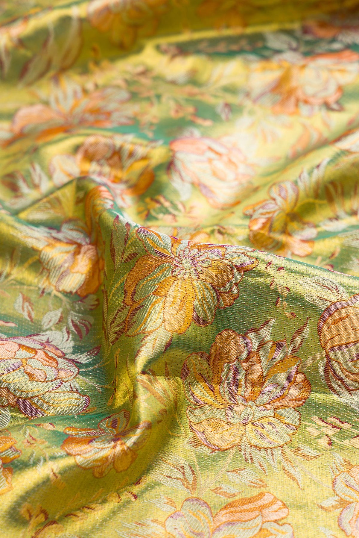 Close up of Pure Silk Pista Green Dual Tone Kanchipuram Tissue Saree with Zari Brocade on the body and Zari Border.  displaying folds
