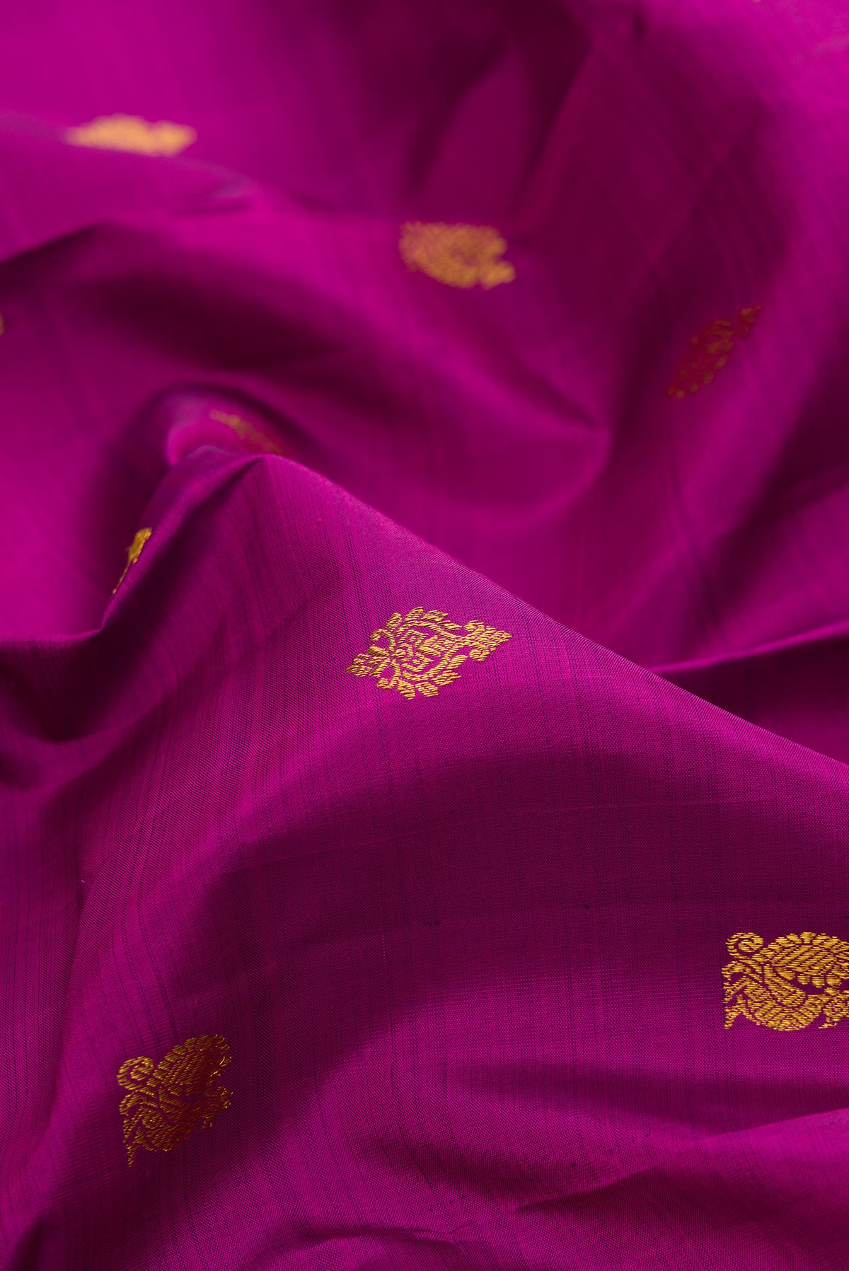 Close up of Pure Silk Magenta Kanjivaram Saree with Zari Butta on the body and Zari Border.  displaying folds