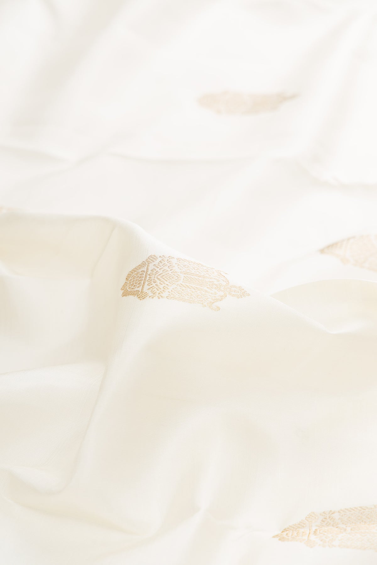 Close up of Pure Silk Off White Kanjivaram Saree with Zari Butta on the body and Zari Border.  displaying folds