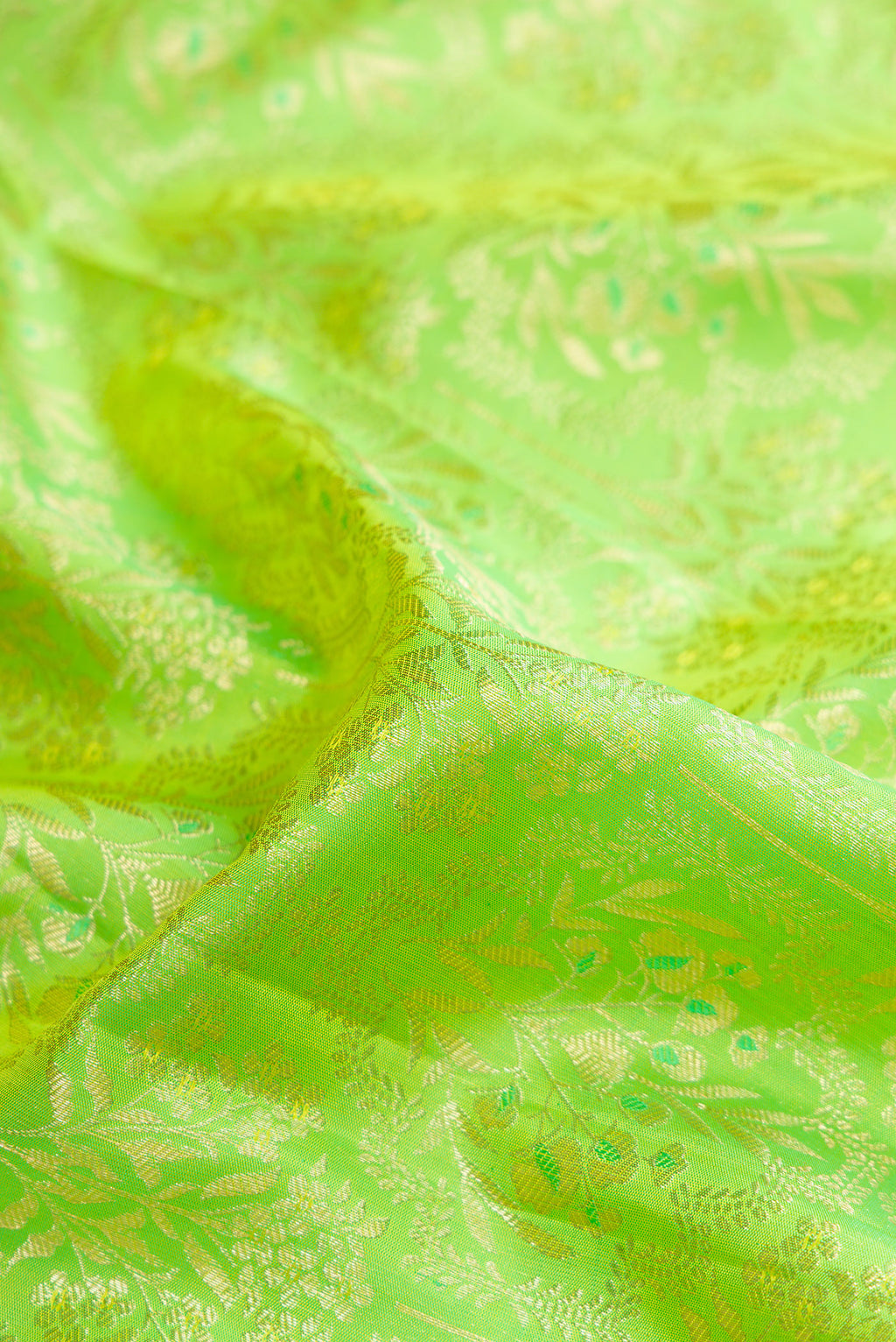 Close up of Pure Silk Parrot Green Kanchipuram Saree with Zari Brocade on the body and Fancy Border.  displaying folds