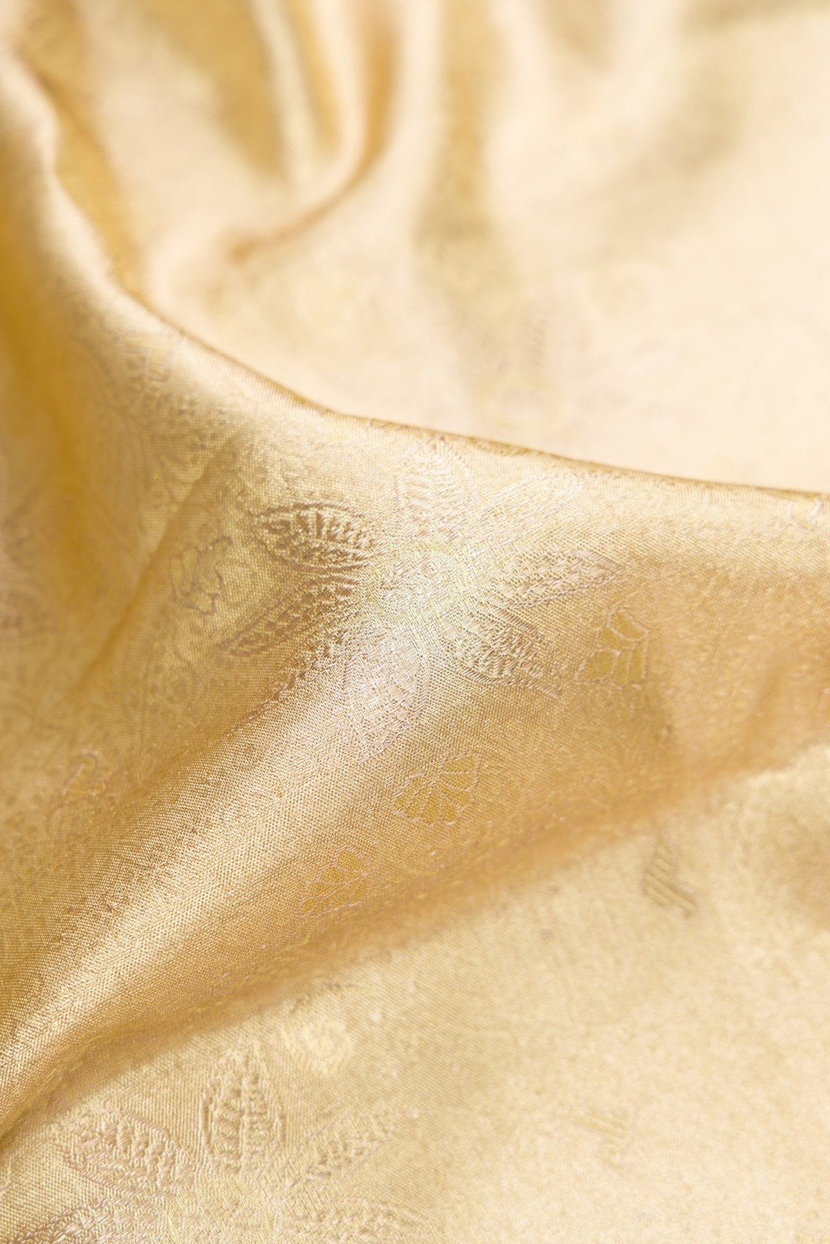 Close up of Gold with Red Dual Tone Kanjivaram Tissue Saree with Zari Brocade on the body and Fancy Border.  displaying folds