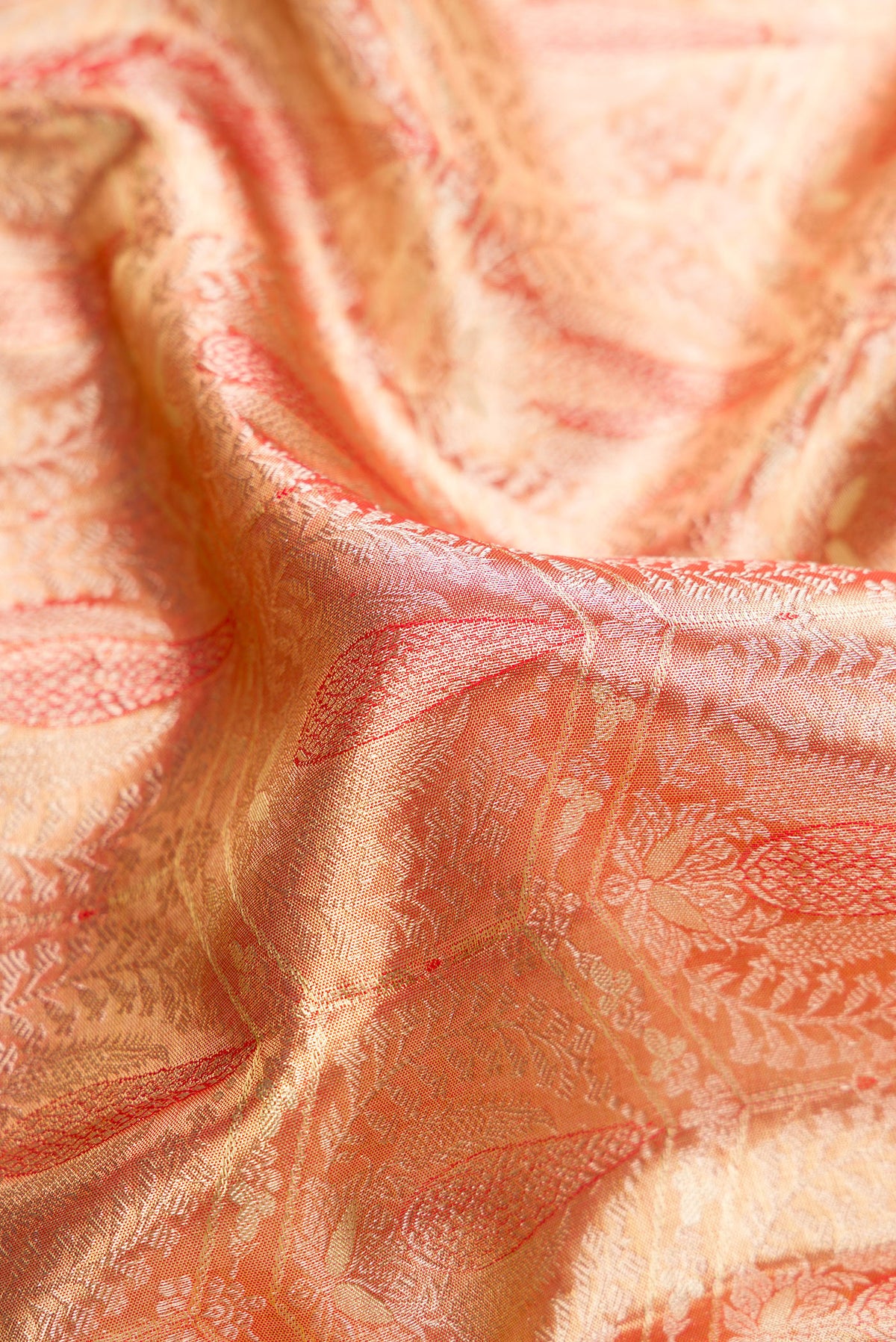 Close up of Gold with Red Color Kanjivaram Tissue Saree with Zari Brocade on the body and Paithani Border.  displaying folds