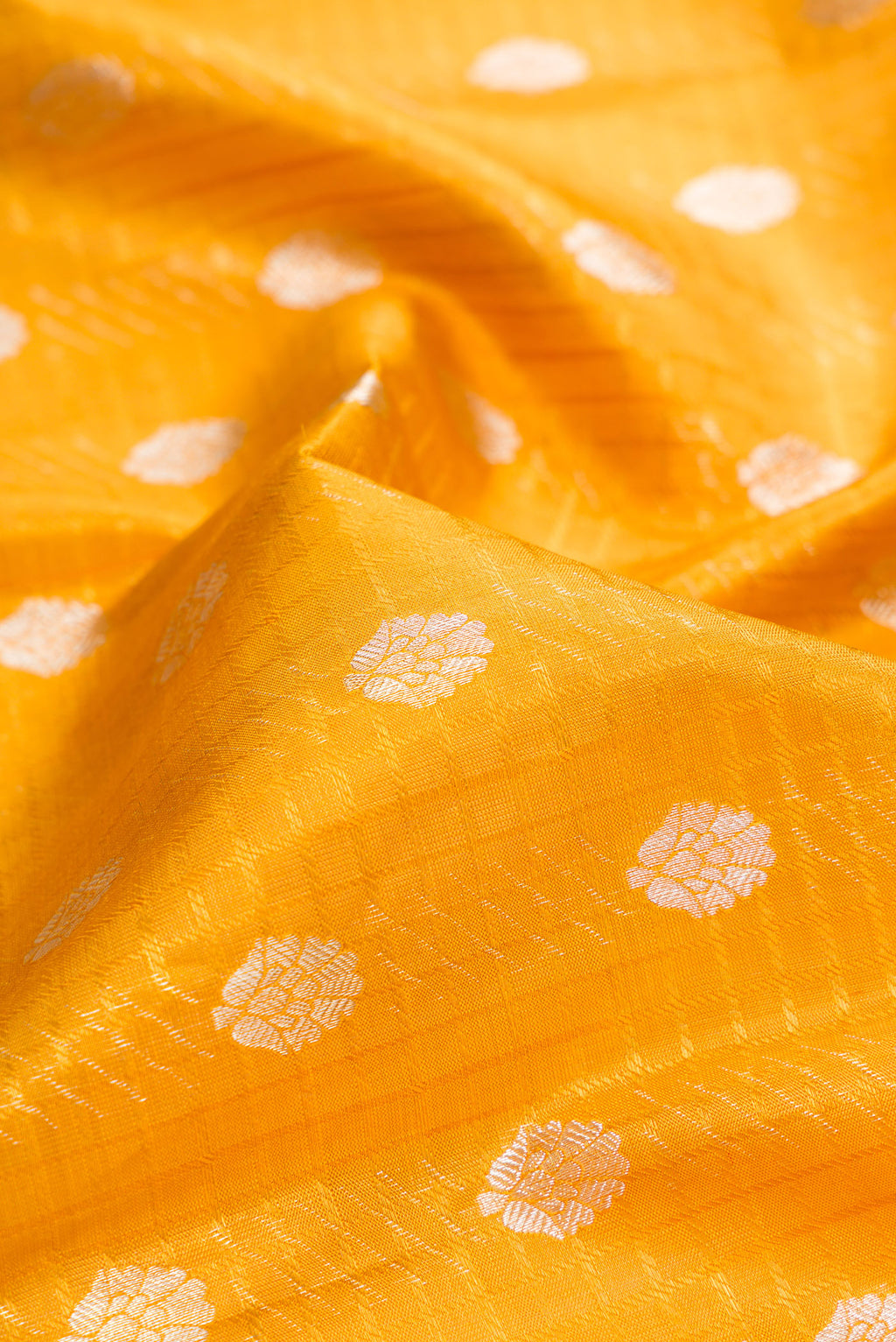 Close up of Mustard Kanchipuram Tissue Saree with Zari Brocade on the body and Fancy Border.  displaying folds