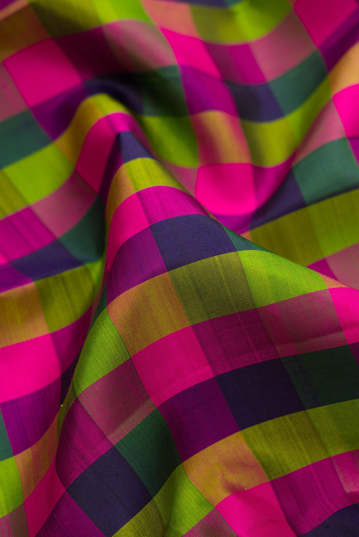 Close up of Pure Silk Multi Color Kanjivaram Saree with Checked design on the body and Zari Border.  displaying folds