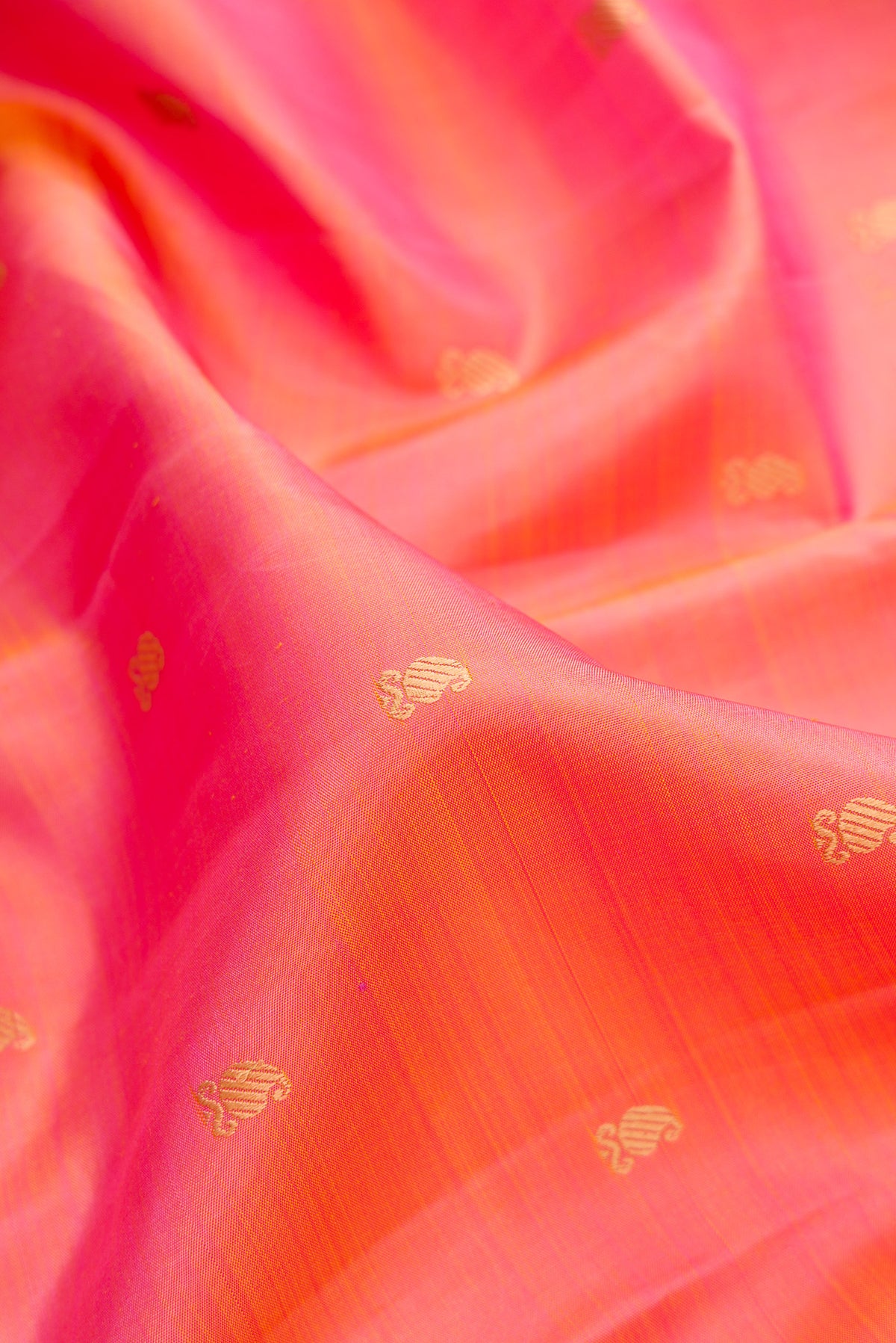Close up of Pure Silk Pinkish Yellow Dual Tone Kanjivaram Saree with Thread Butta on the body and Thread Border.  displaying folds