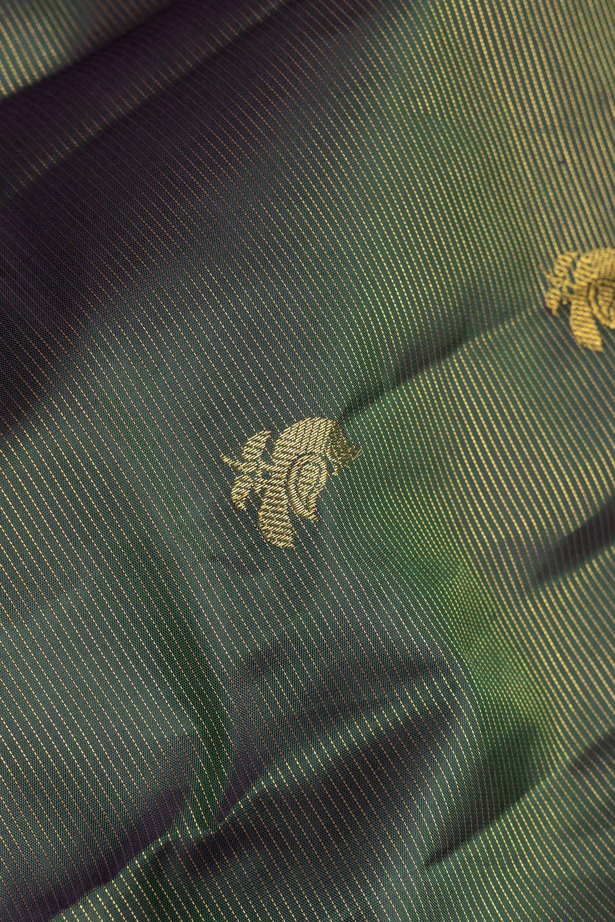 Close up of Pure Silk Bottle Green Kanchipuram Saree with Stripes on the body and Without Border.  displaying folds