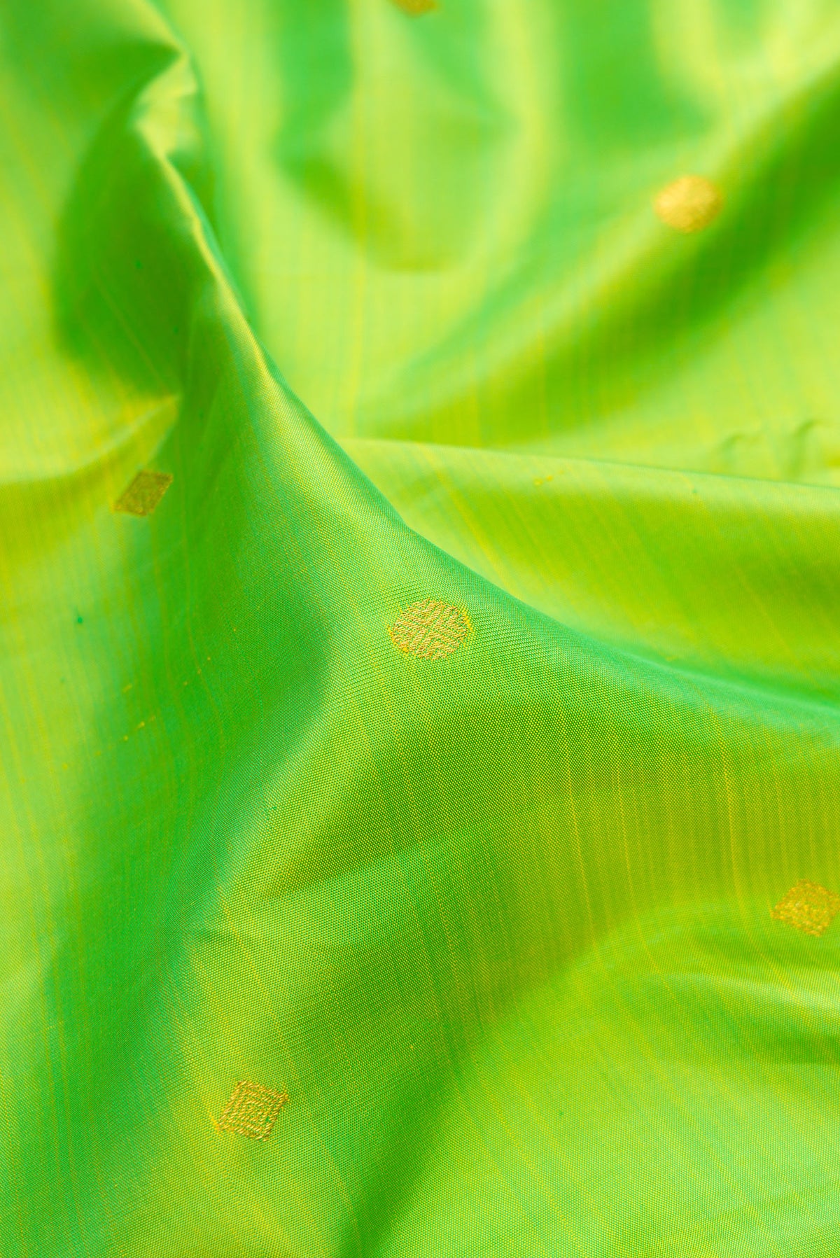 Close up of Pure Silk Parrot Green Kanjivaram Saree with Zari Butta on the body and Temple Border.  displaying folds