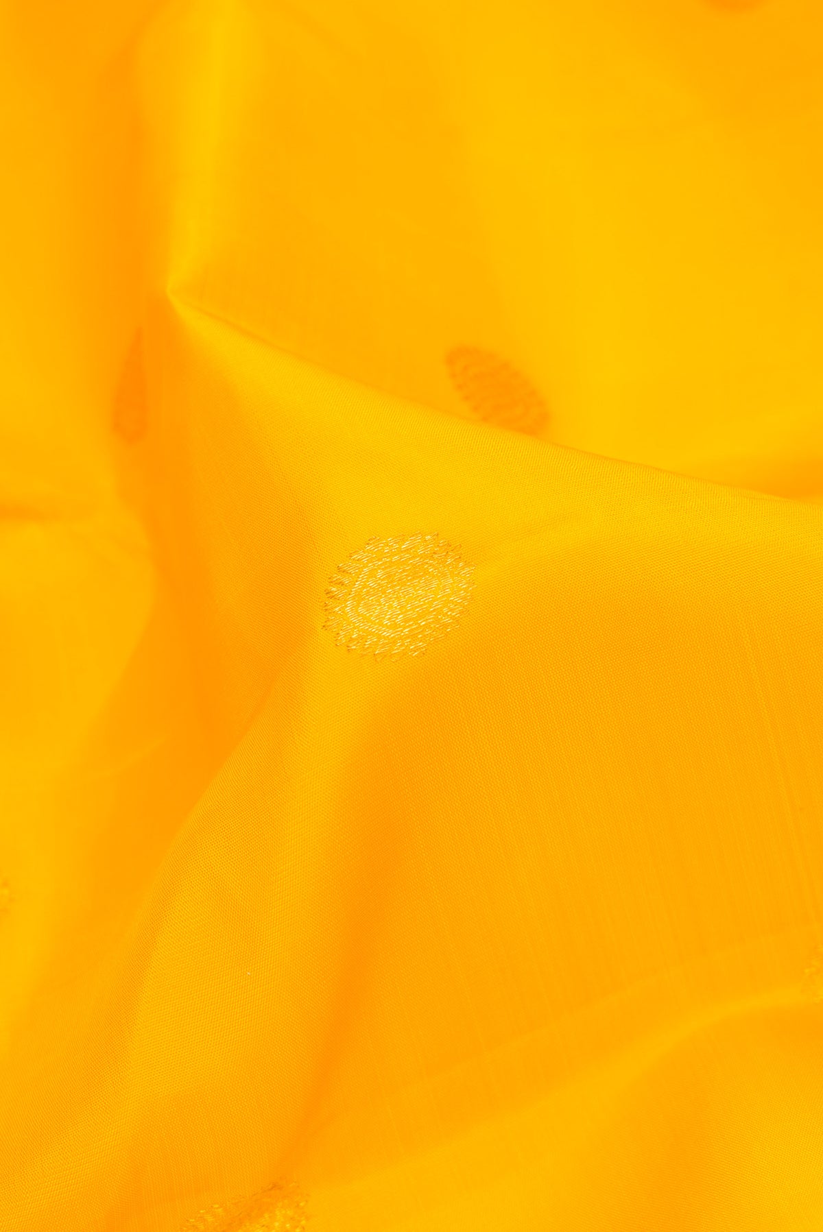 Close up of Pure Silk Yellow Kanjivaram Saree with Zari Butta on the body and Zari Border.  displaying folds