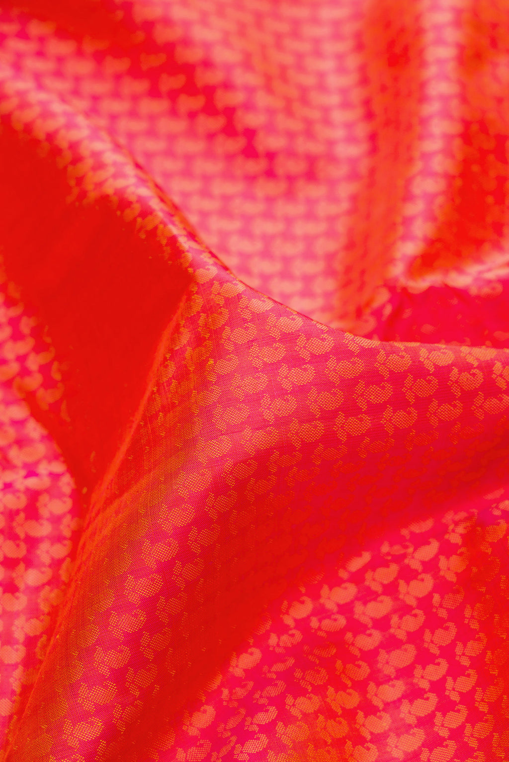 Close up of Pure Silk Orange Dual Tone Kanjivaram Saree with Jacquard design on the body and Fancy Border.  displaying folds
