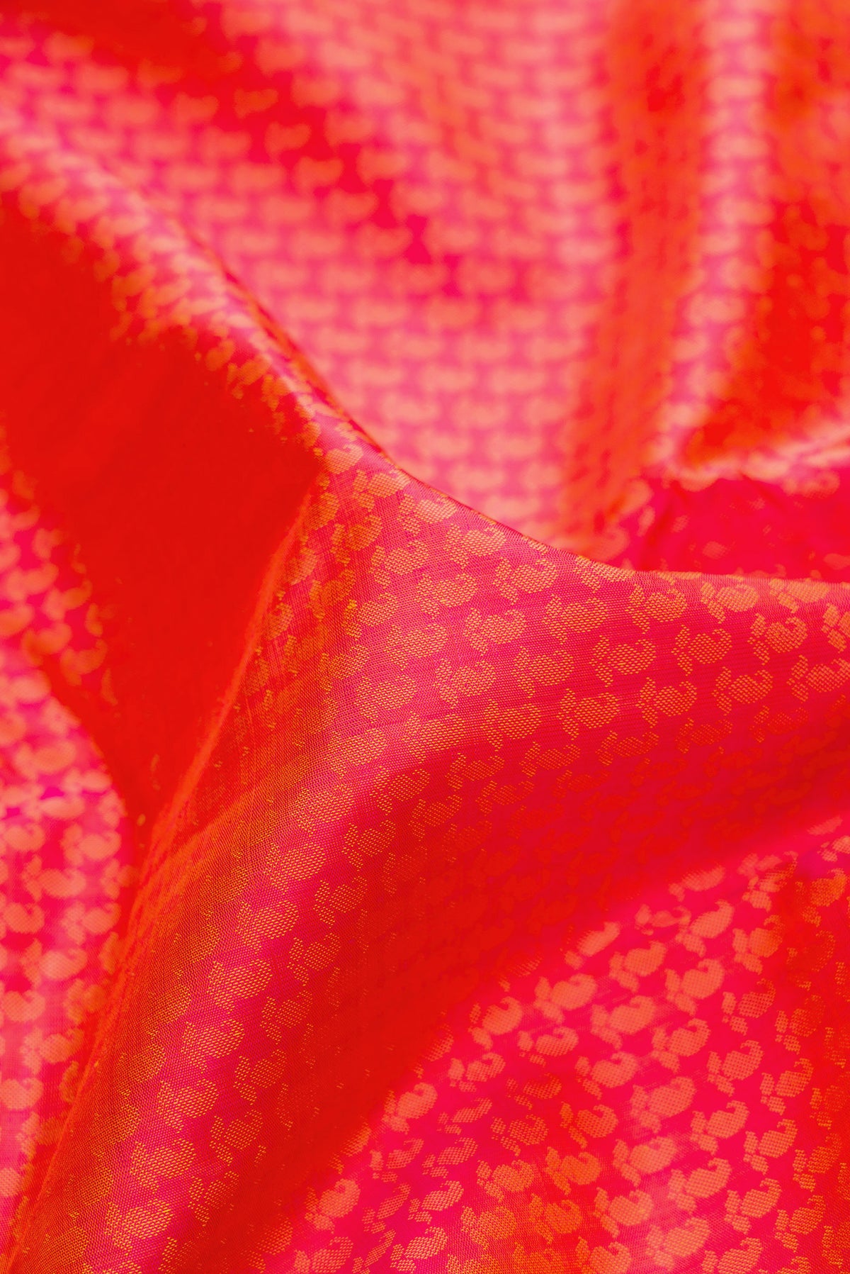 Close up of Pure Silk Orange Dual Tone Kanjivaram Saree with Jacquard design on the body and Fancy Border.  displaying folds