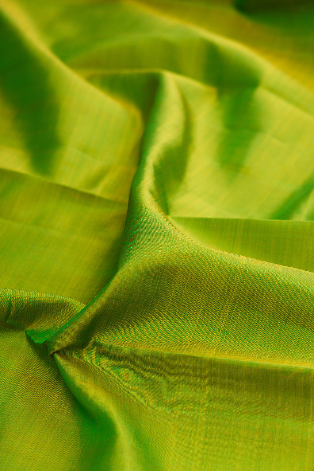 Close up of Pure Silk Green Kanchipuram Saree with Plain Body and Zari Border.  displaying folds