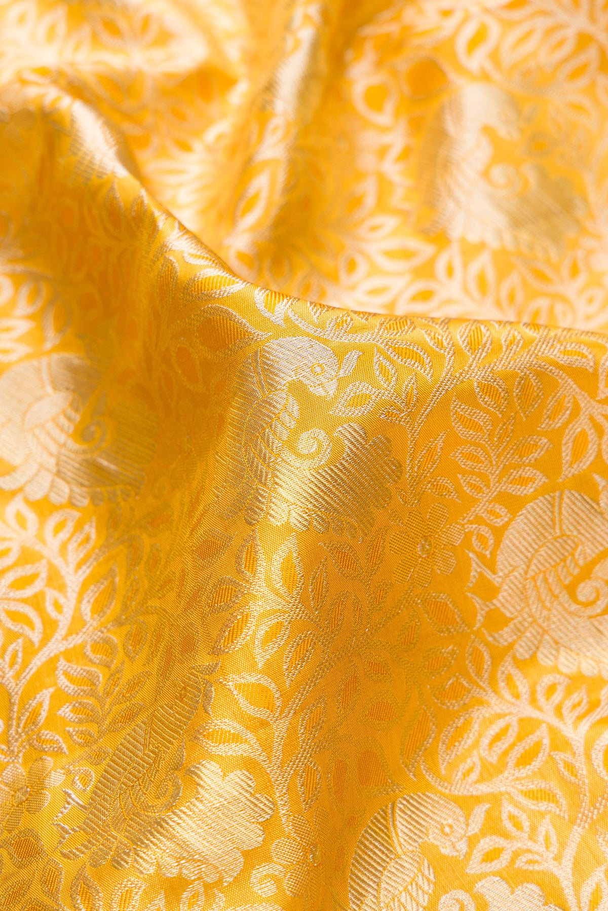 Close up of Gold Dual Tone Kanjivaram Tissue Saree with Zari Brocade on the body and Zari Border.  displaying folds