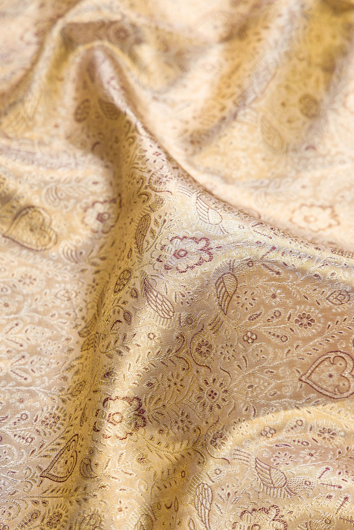 Close up of Gold Dual Tone Kanjivaram Tissue Saree with Zari Brocade on the body and Zari Border.  displaying folds