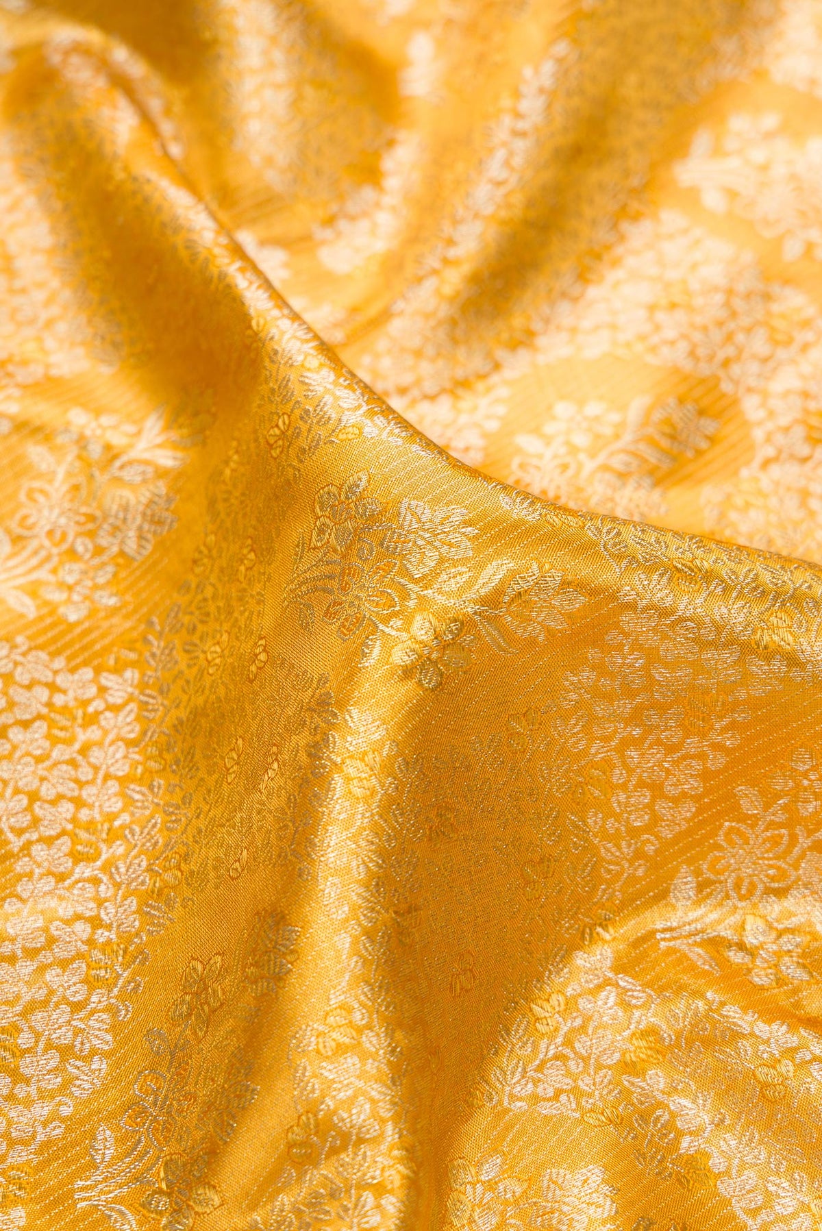Close up of Pure Silk Gold Dual Tone Kanchipuram Tissue Saree with Zari Brocade on the body and Fancy Border.  displaying folds