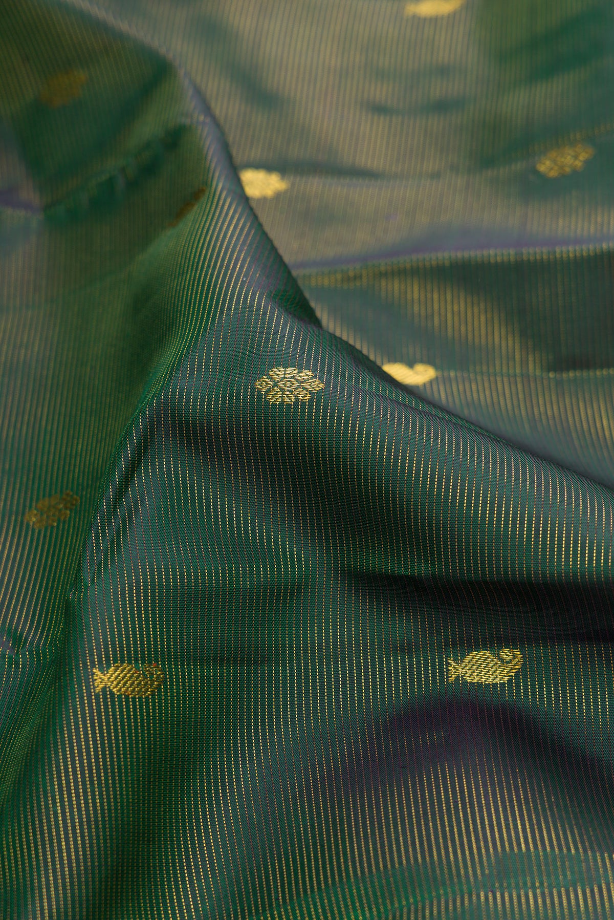 Close up of Pure Silk Bottle Green Kanjivaram Saree with Zari Butta on the body and Zari Border.  displaying folds