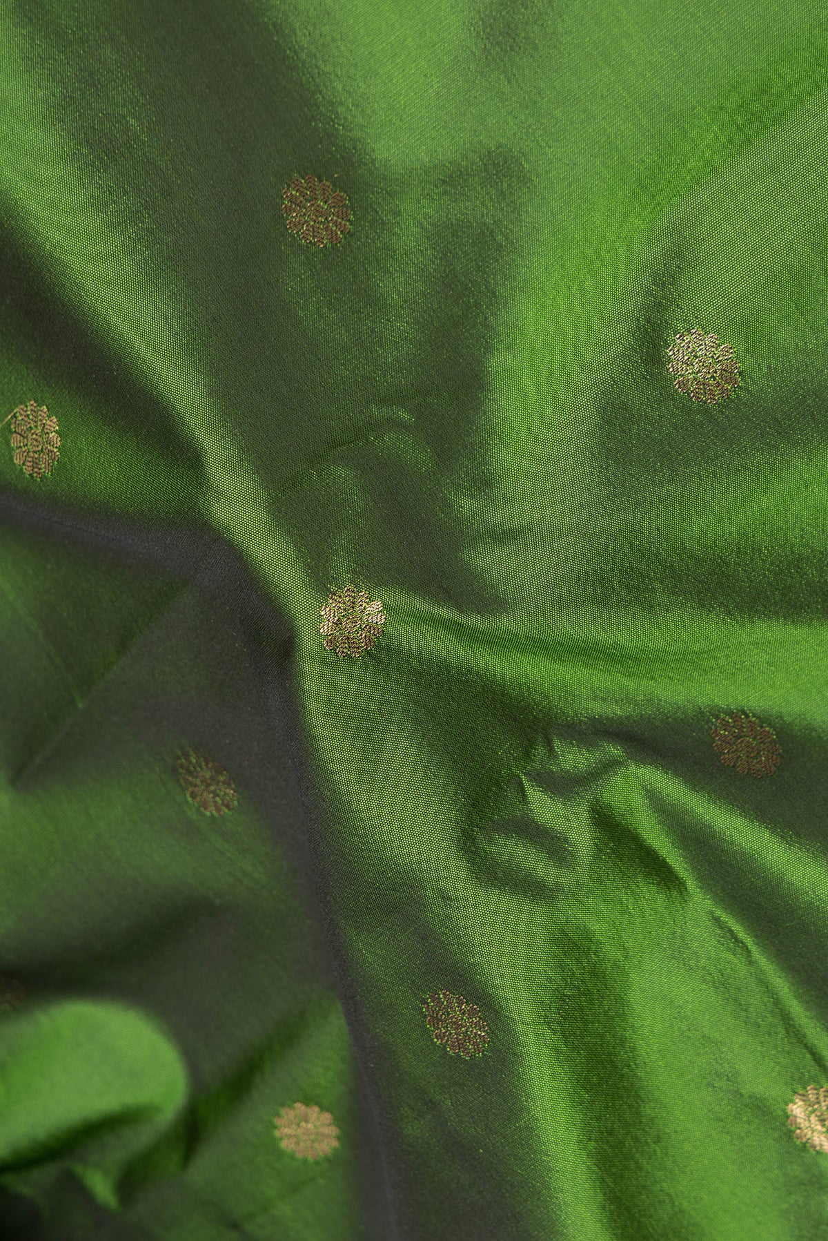 Close up of Mehandi Green Blended Paithani Silk Saree with Zari Butta on the body and Zari Border.  displaying folds