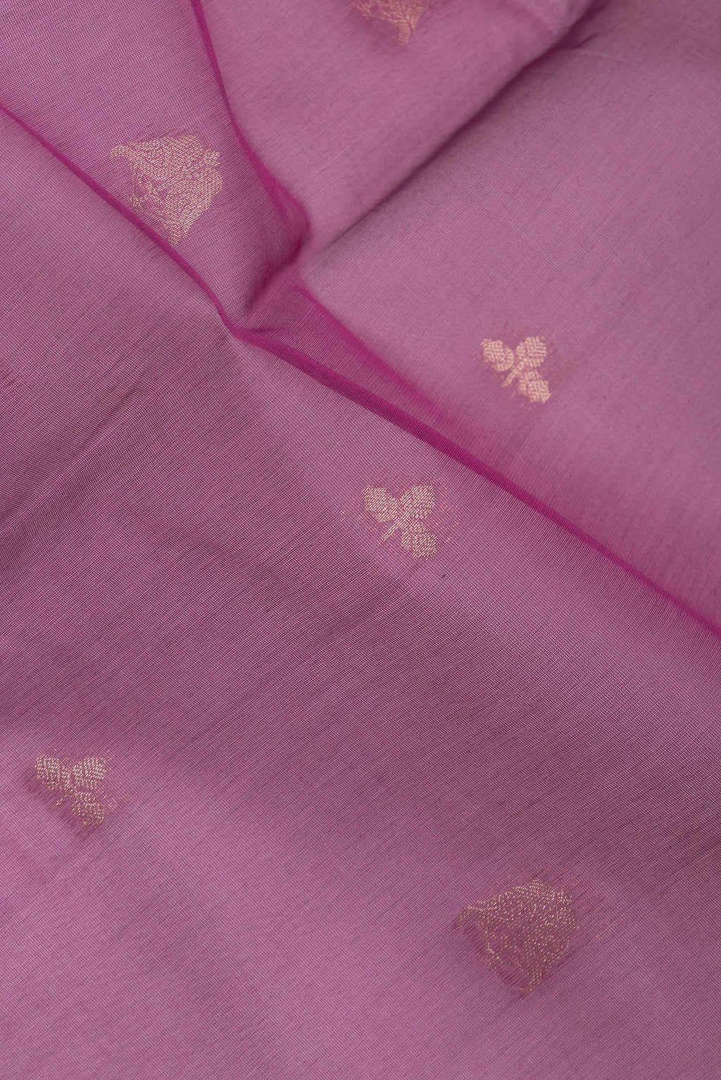 Close up of Magenta Silk Cotton Saree with Zari Butta on the body and Zari Border.  displaying folds