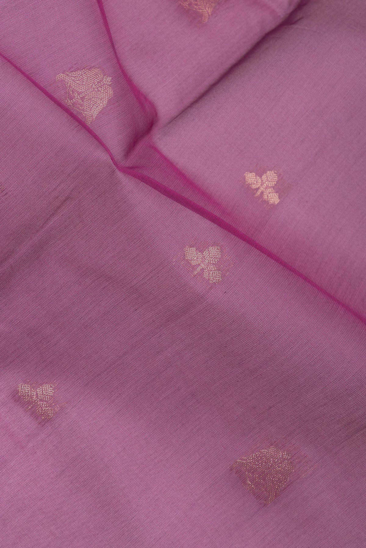 Close up of Magenta Silk Cotton Saree with Zari Butta on the body and Zari Border.  displaying folds