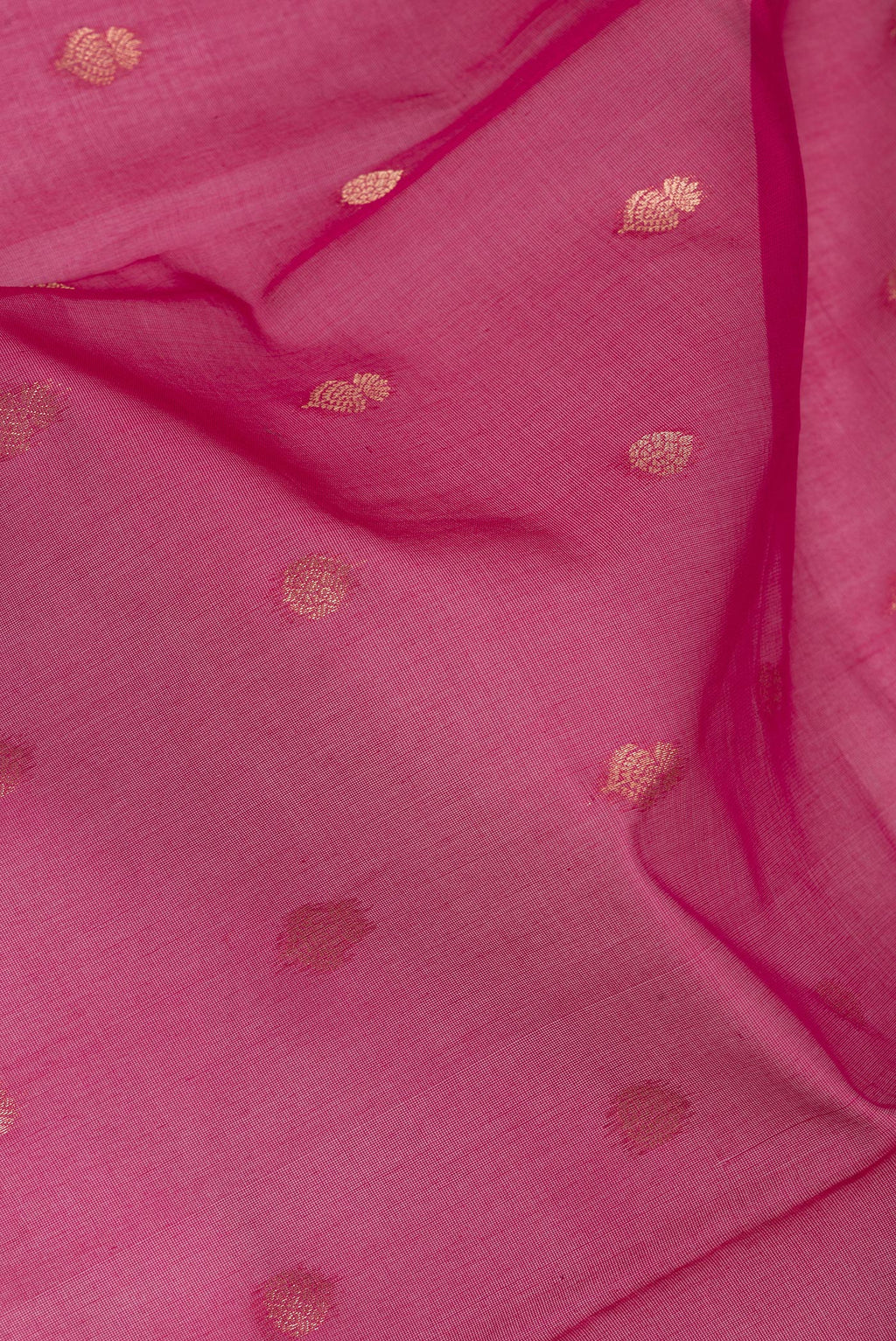 Close up of Dark Pink Silk Cotton Saree with Zari Butta on the body and Zari Border.  displaying folds