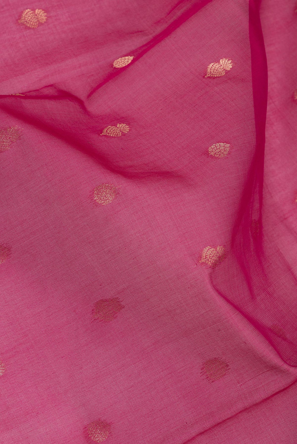 Close up of Dark Pink Silk Cotton Saree with Zari Butta on the body and Zari Border.  displaying folds