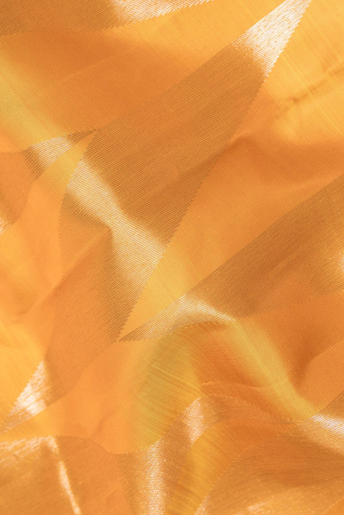 Close up of Pure Silk Yellow Kanchipuram Saree with Zari Brocade on the body and Zari Border.  displaying folds