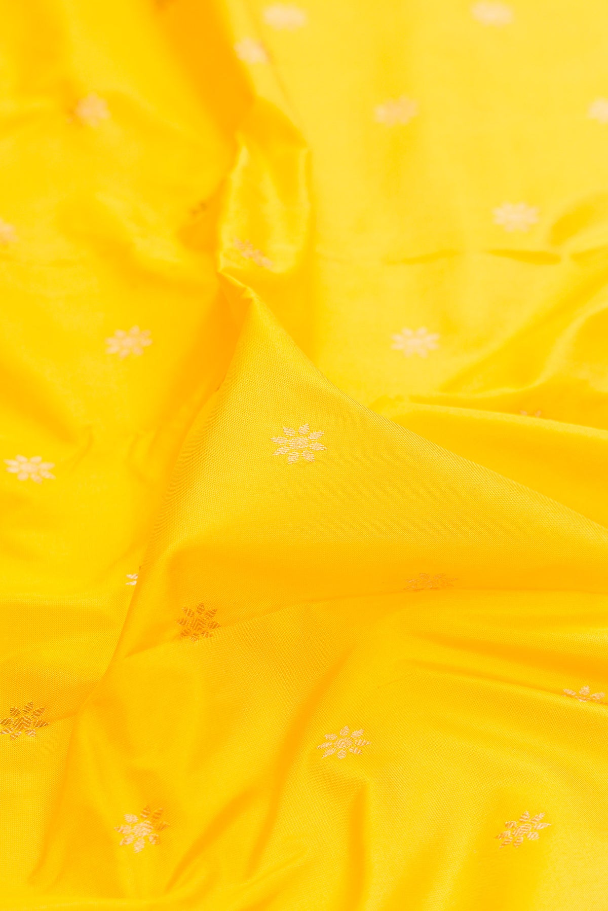 Close up of Pure Silk Yellow Paithani Saree with Zari Butta on the body and Zari Border.  displaying folds