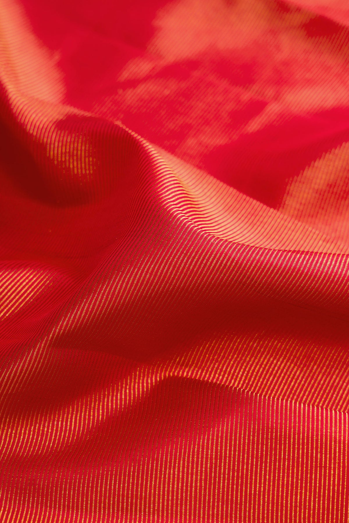 Close up of Pure Silk Red Dual Tone Kanchipuram Saree with Zari Brocade on the body and Fancy Border.  displaying folds