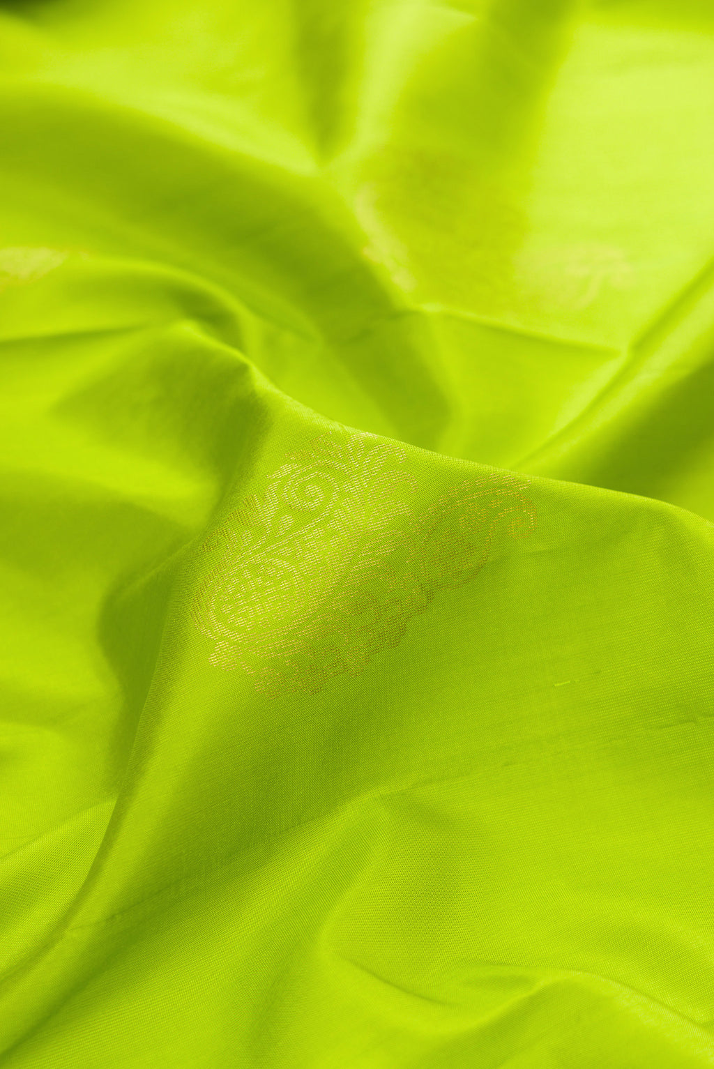 Close up of Pure Silk Parrot Green Soft Saree with Zari Butta on the body and Zari Border.  displaying folds