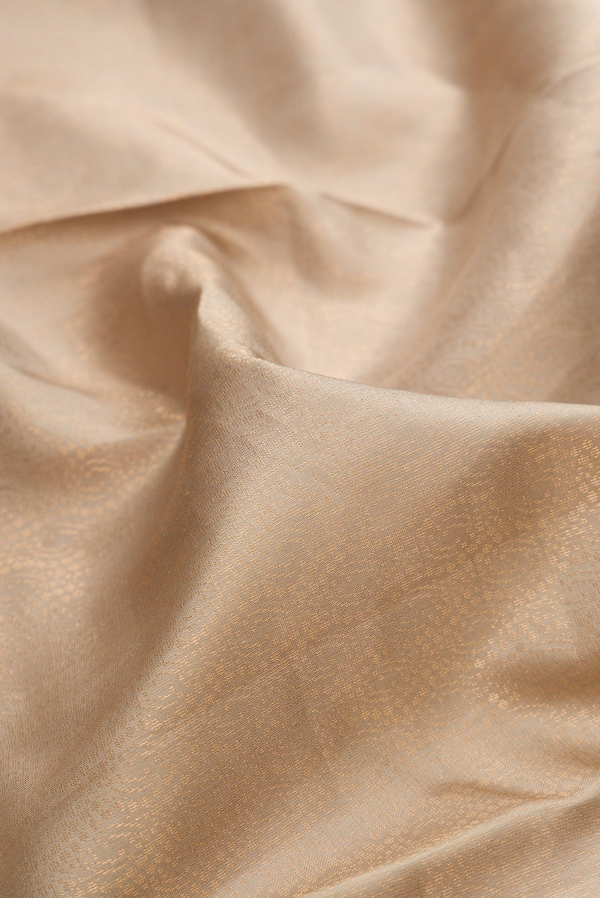 Close up of Pure Silk Beige Soft Saree with Zari Brocade on the body and Zari Border.  displaying folds