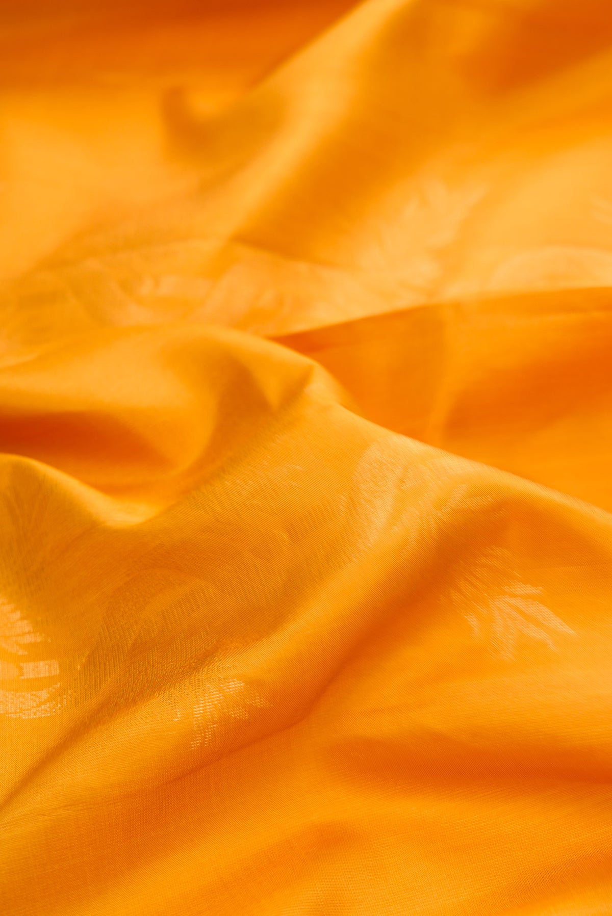Close up of Pure Silk Mustard Soft Saree with Zari Butta on the body and Without Border.  displaying folds