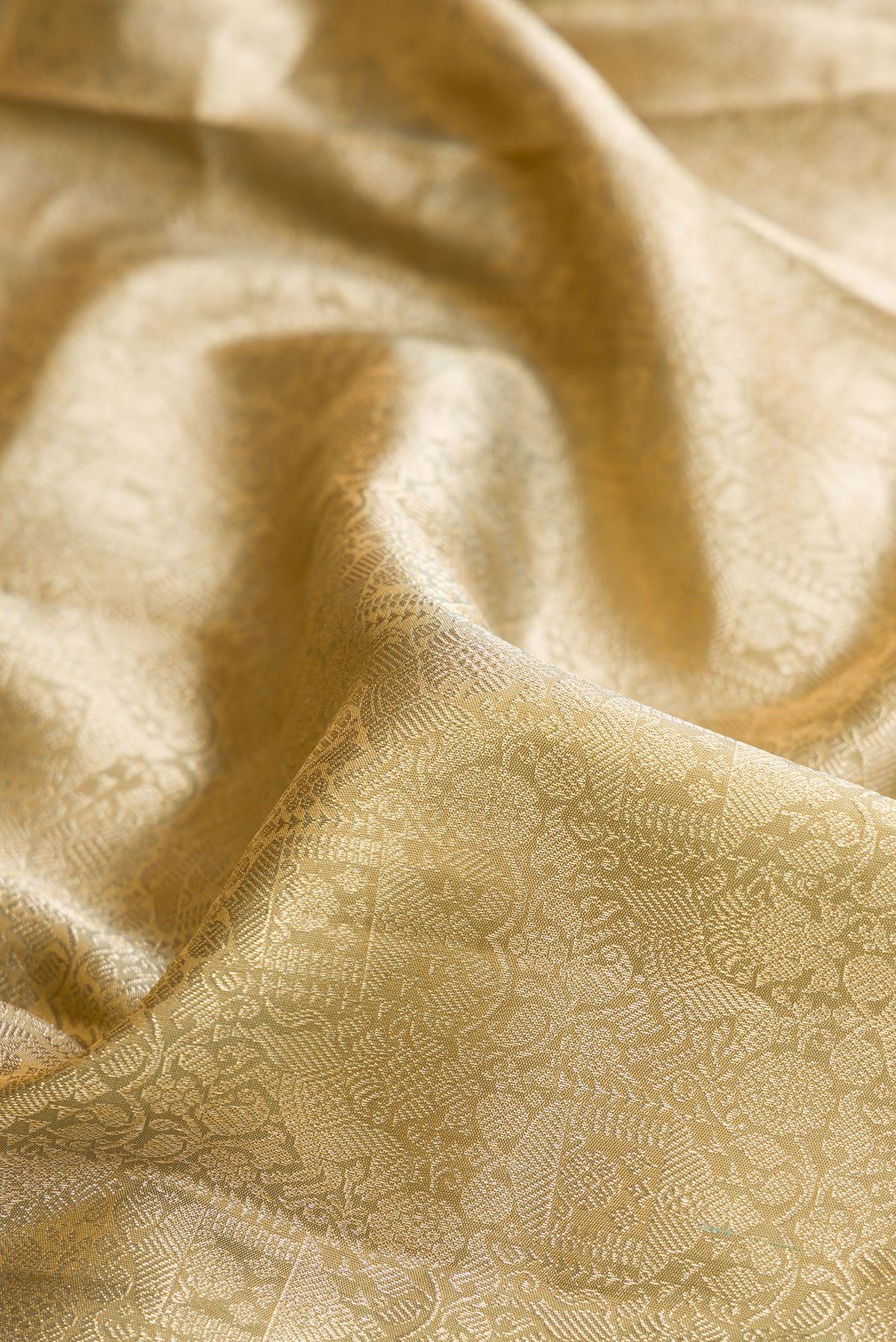 Close up of Pure Silk Beige Kanjivaram Saree with Zari Brocade on the body and Fancy Border.  displaying folds