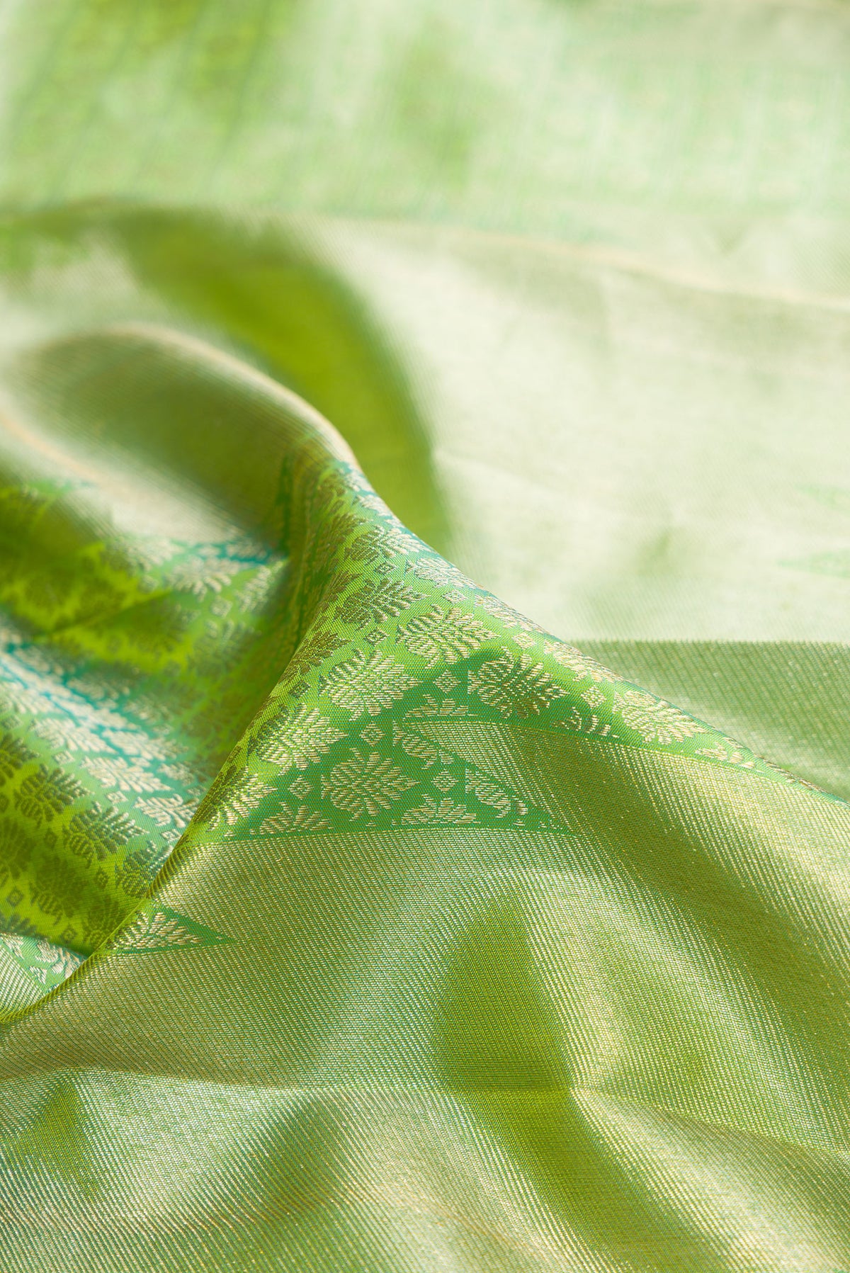 Close up of Pure Silk Light Green Kanjivaram Saree with Zari Brocade on the body and Zari Border.  displaying folds