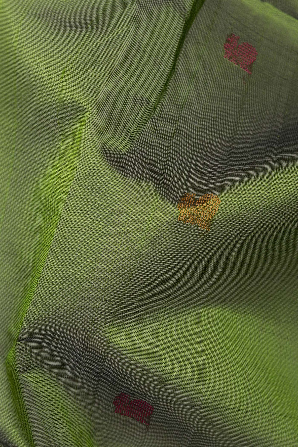 Close up of Green Silk Cotton Saree with Thread Butta on the body and Zari Border.  displaying folds